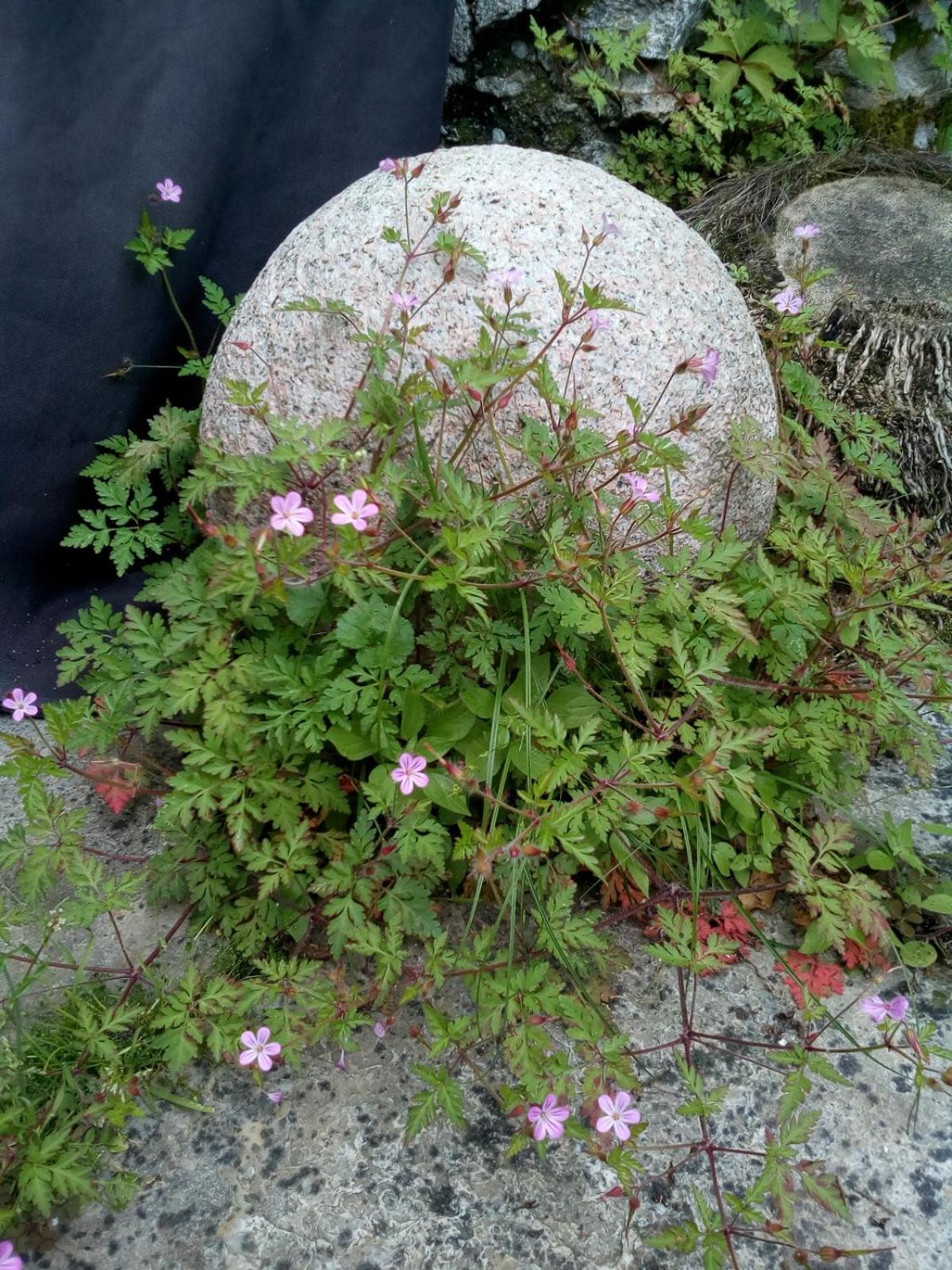 Photo 28