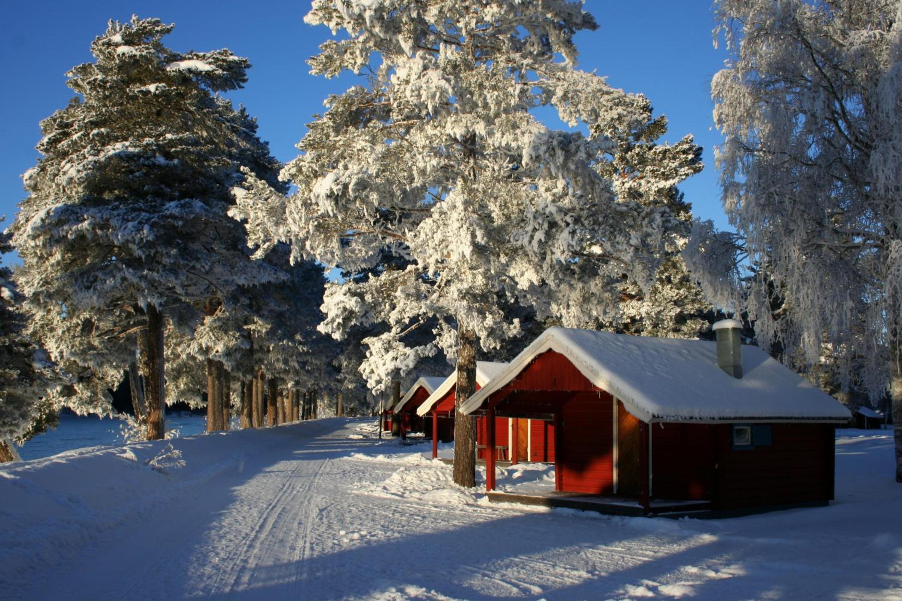 Älvdalens Camping