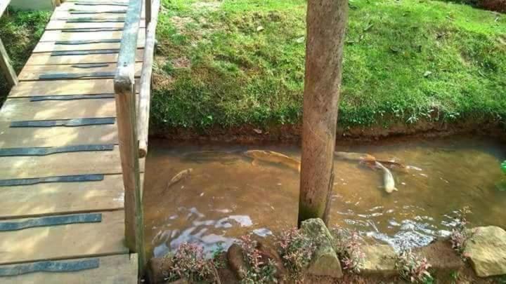 Recanto da Tilapia