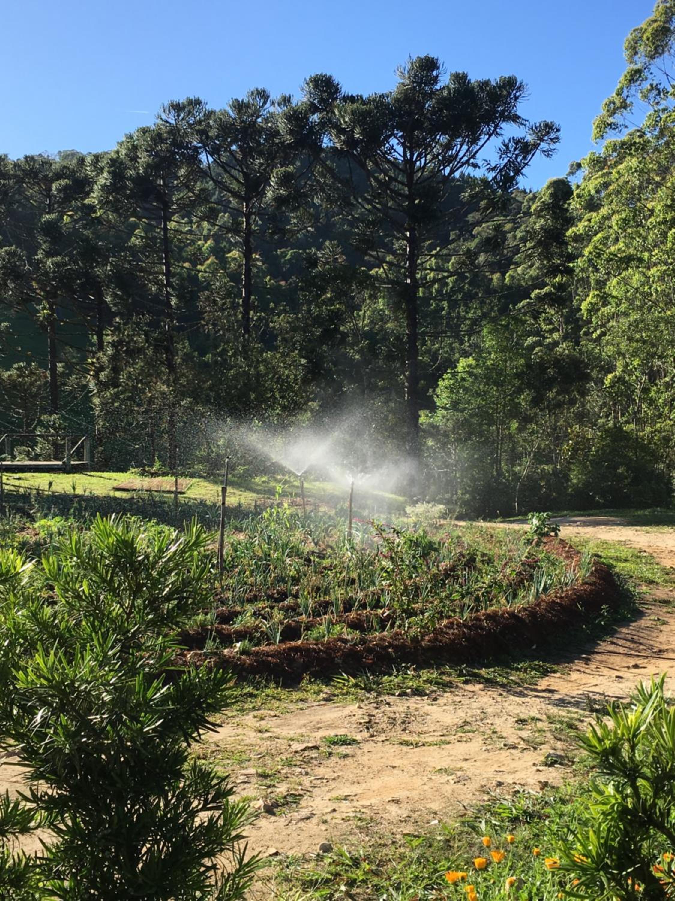 Pousada Rural Ritmos da Terra