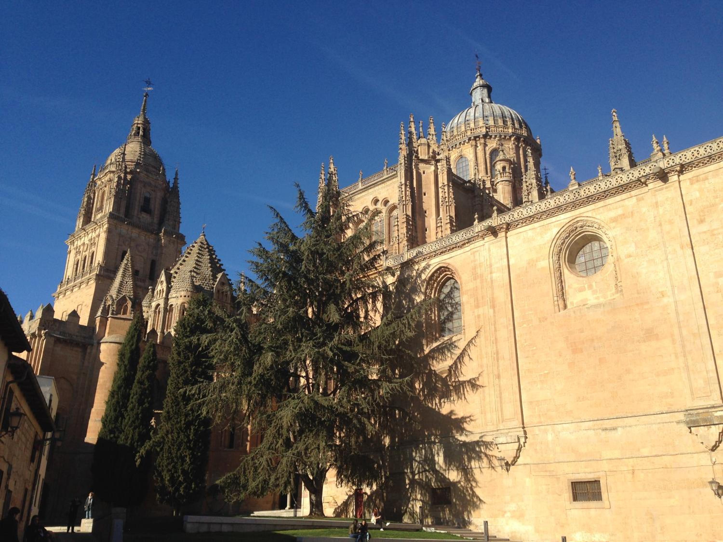 Central Salamanca Apartment