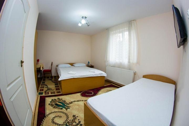 casa elysse view 3
