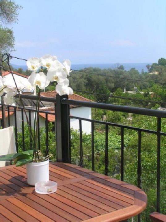 Villa Thomas