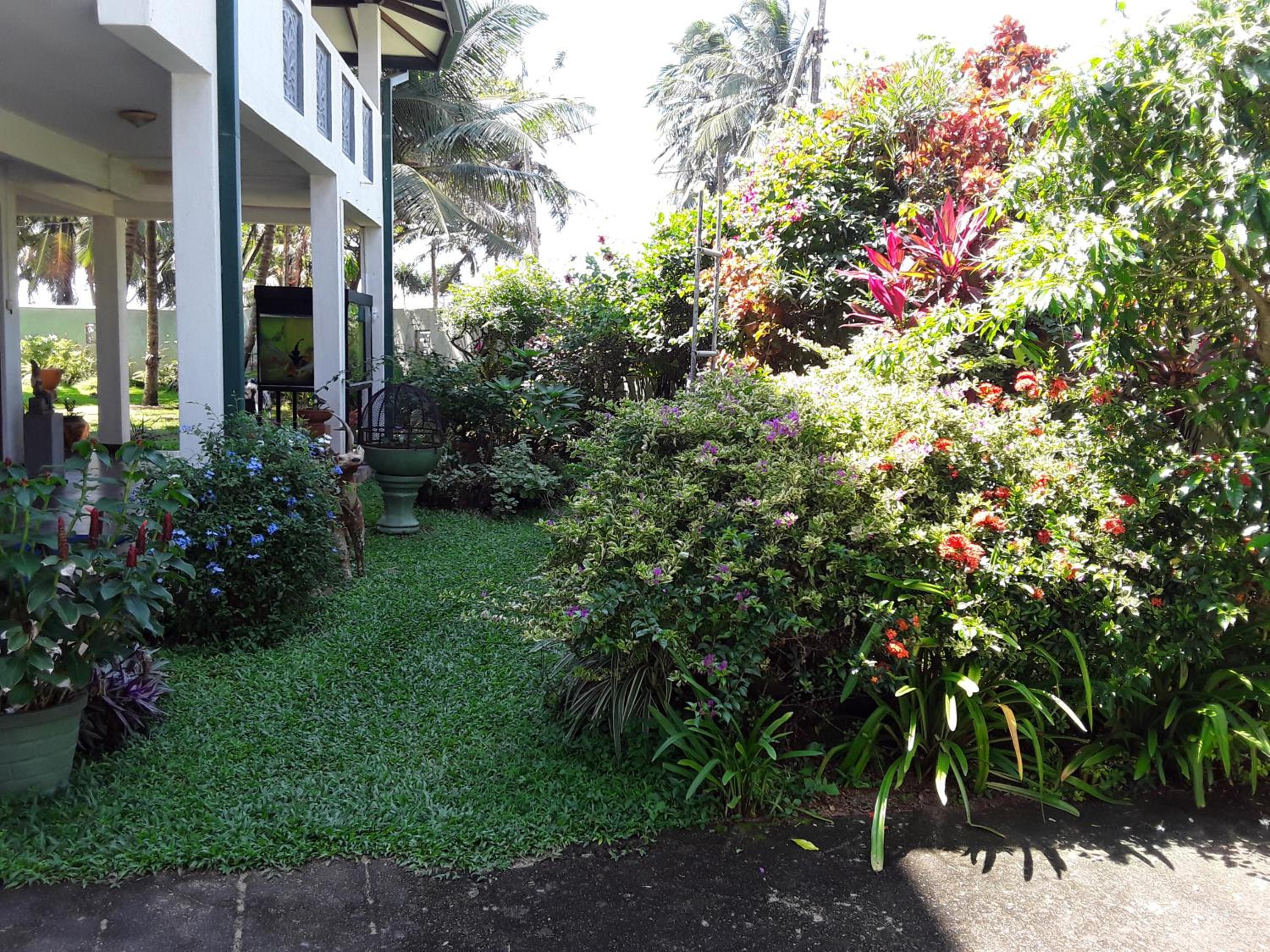 Photo 49