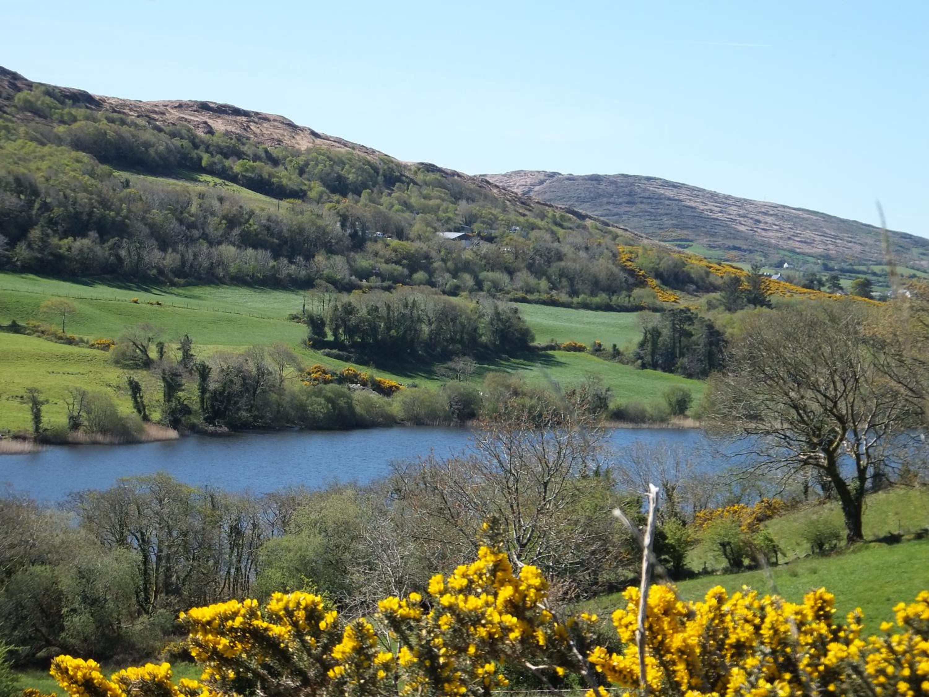 Drombrow Cottage view 4
