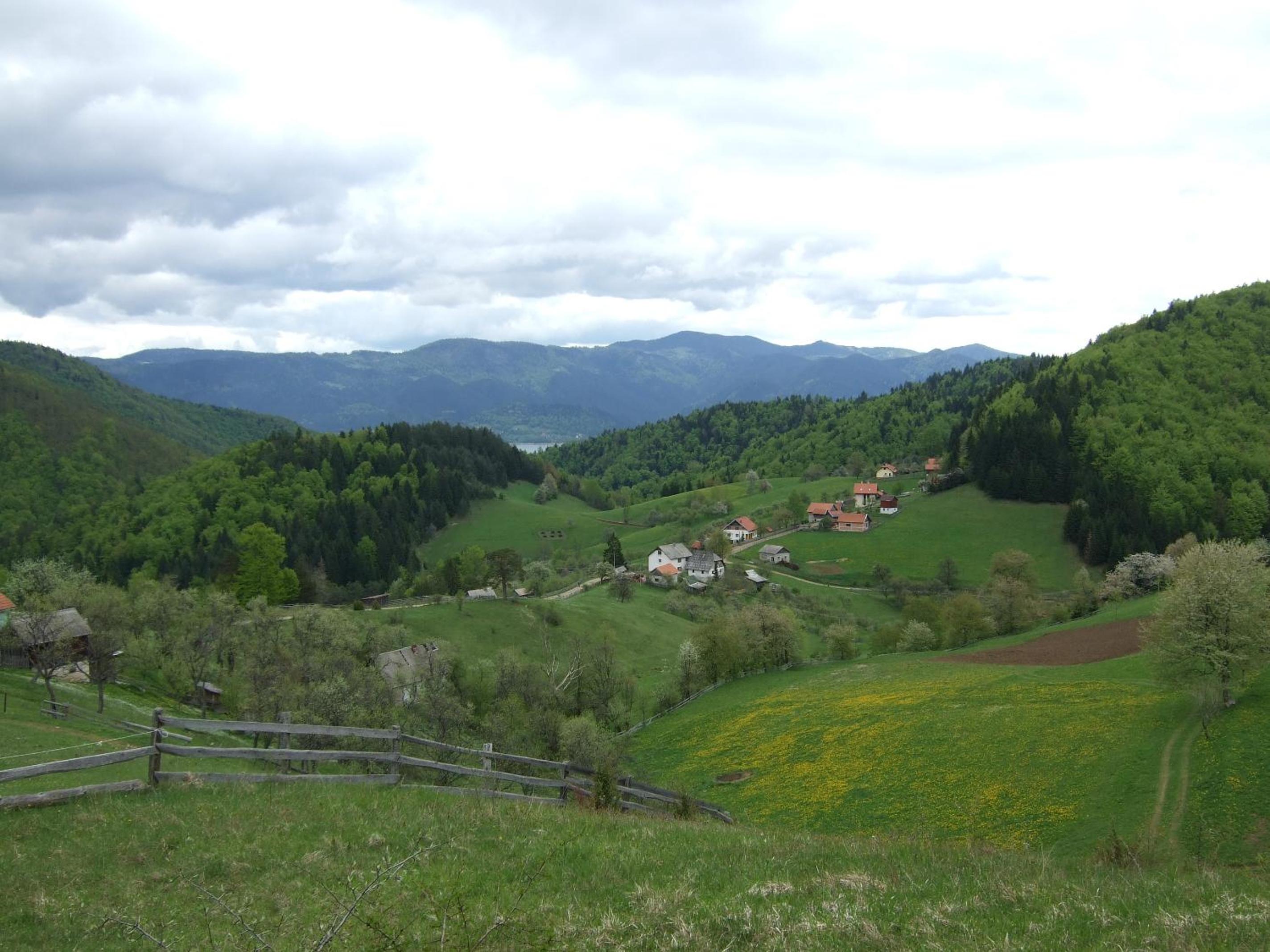 Photo 36