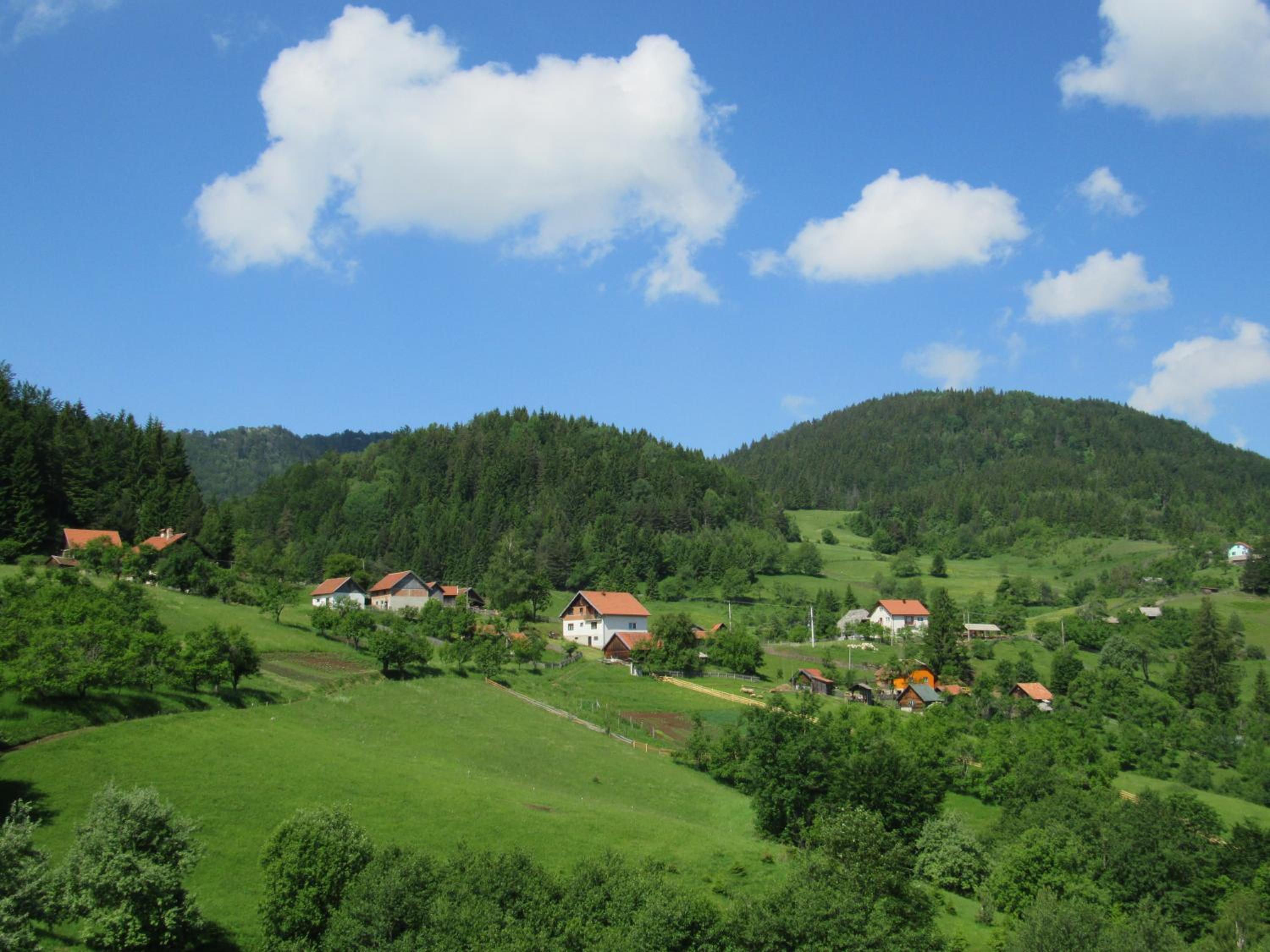 Photo 40