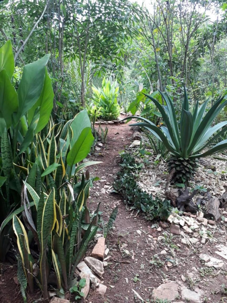 Recanto das Corujas