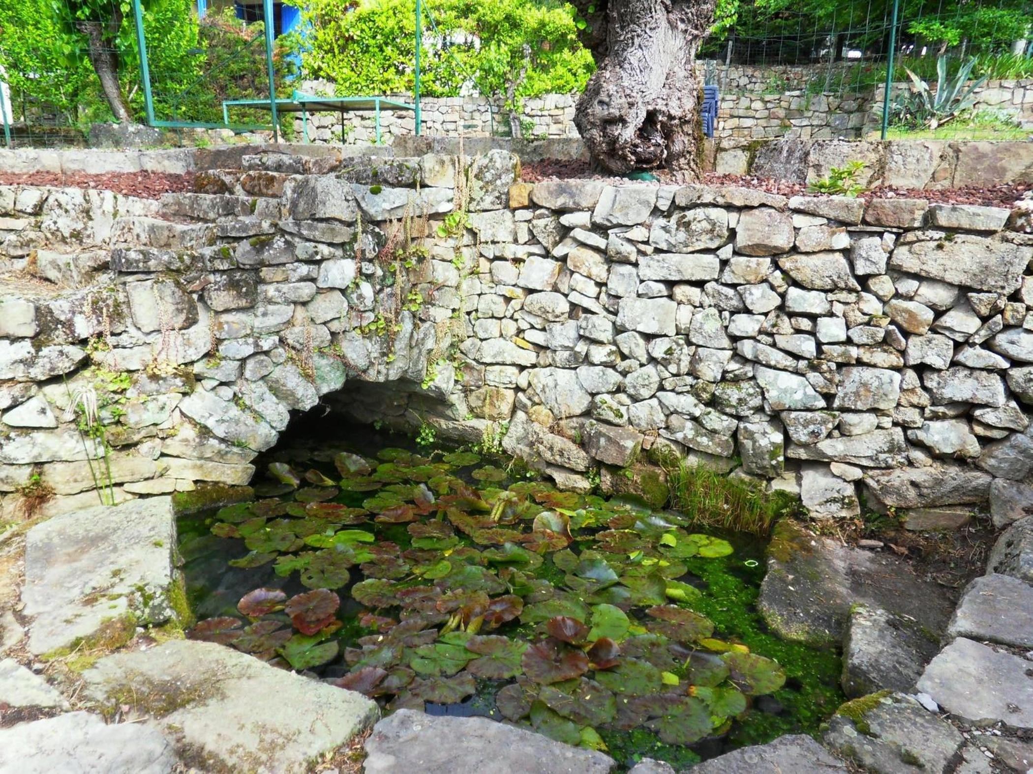 Photo 24