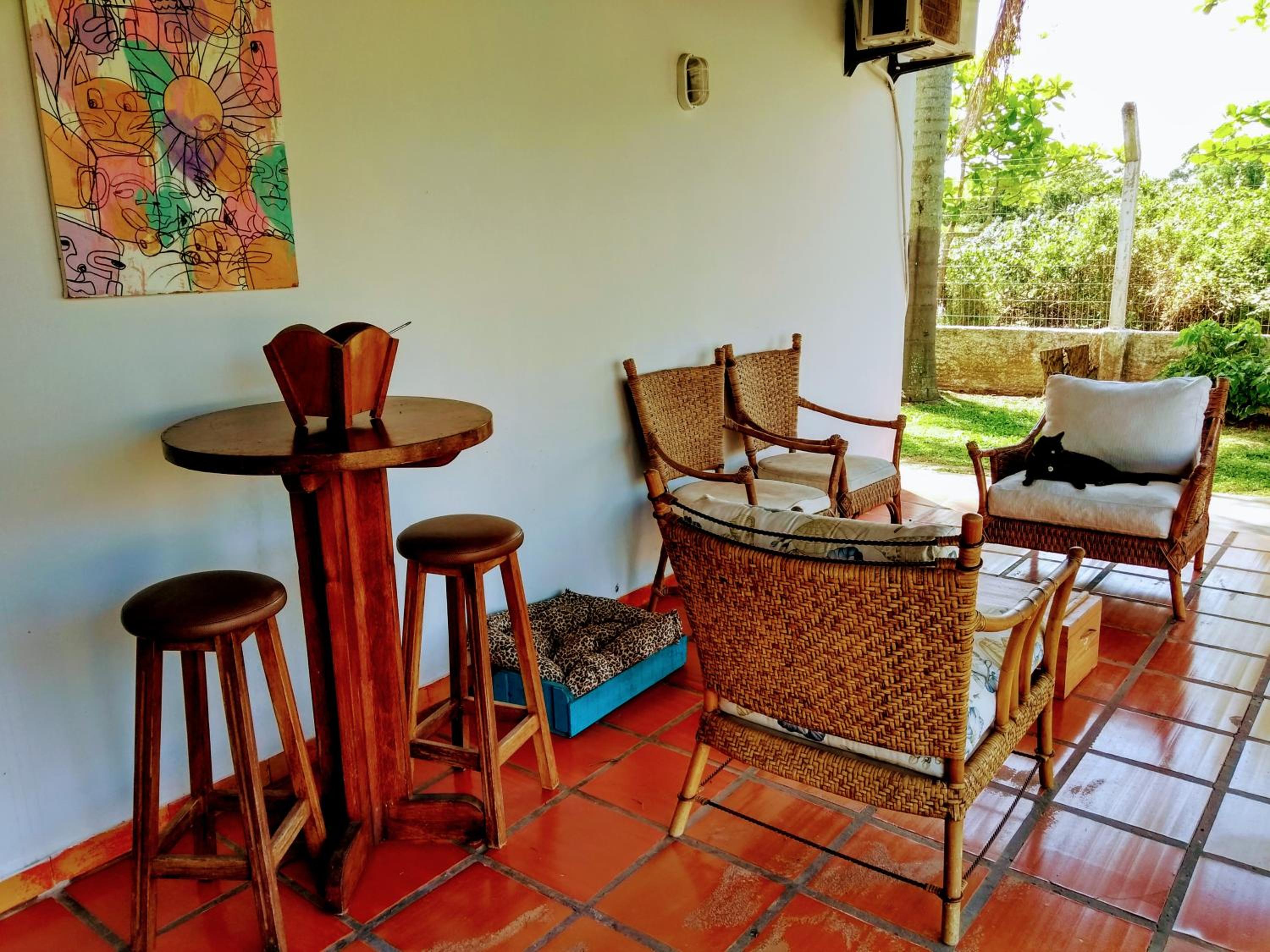 The Cats' House