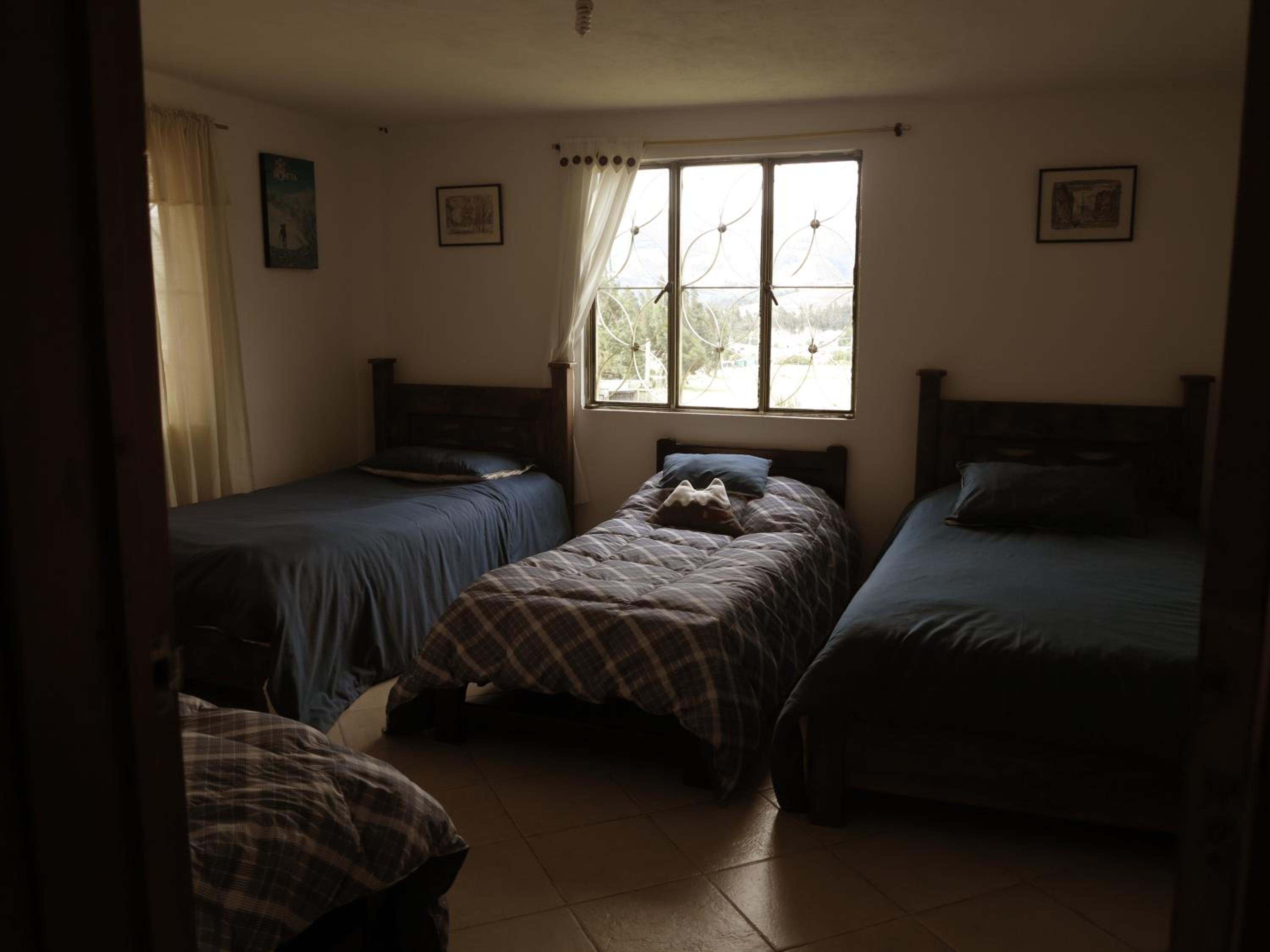 Photo 24