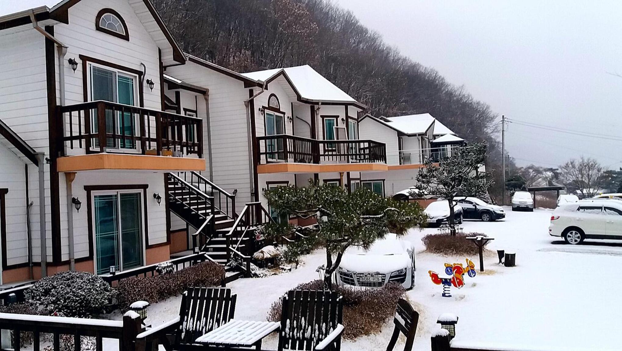 Forest of Color Pension