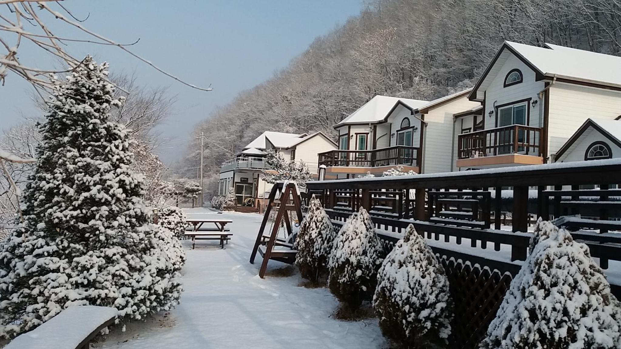 Forest of Color Pension