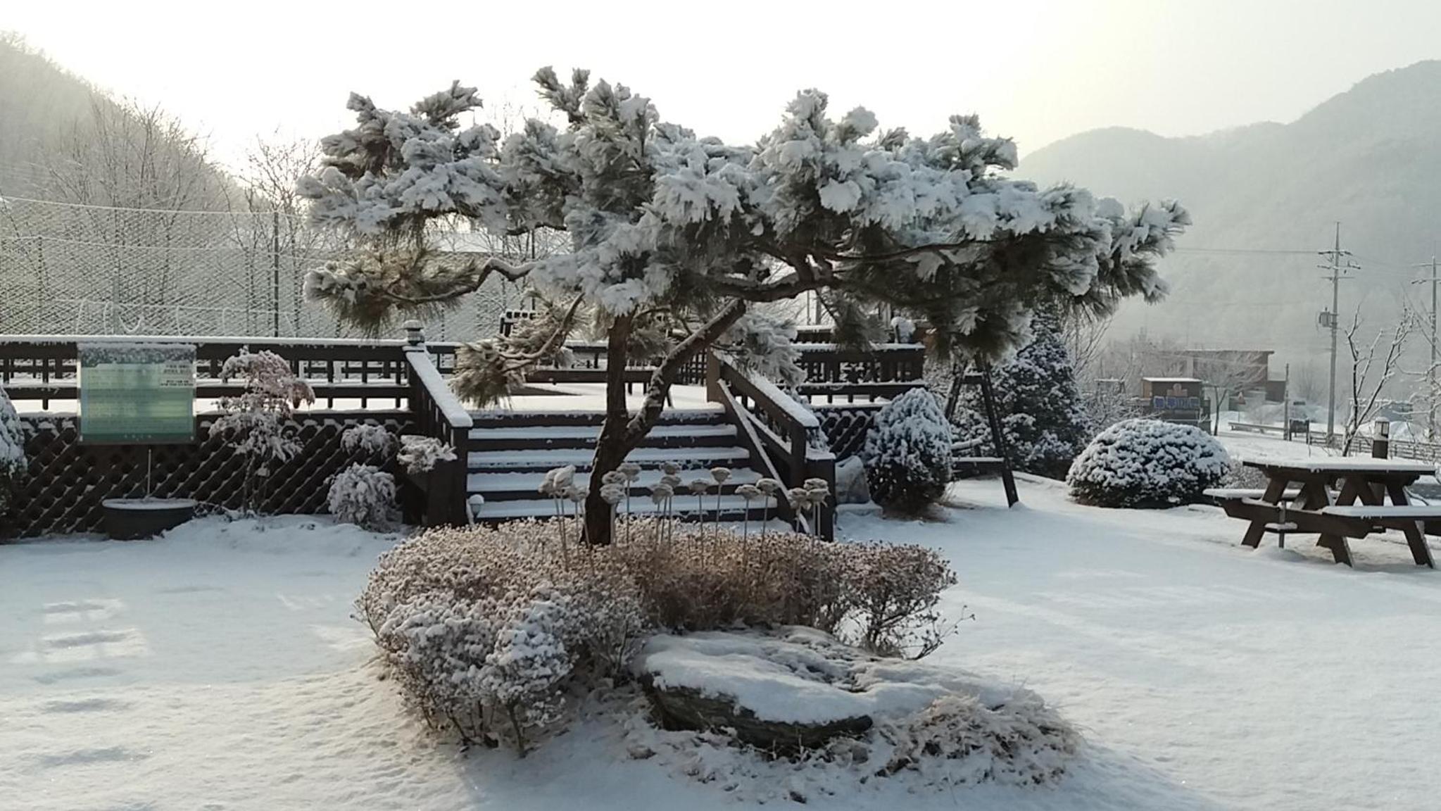 Forest of Color Pension