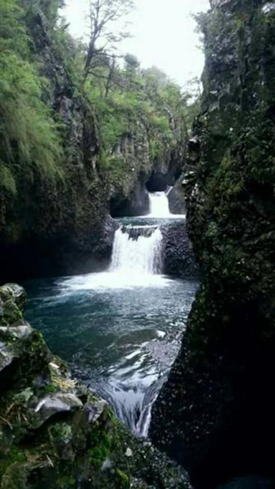 Photo 50