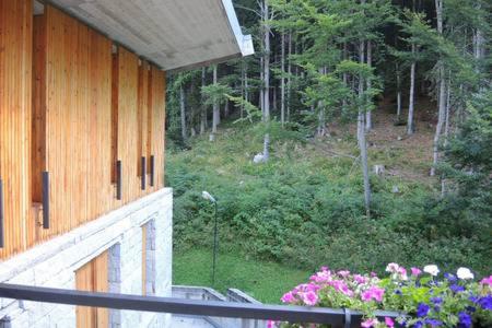 CENTRAL WOODEN CHALET WITH FOREST VIEW view 5