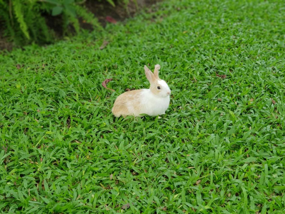 Photo 28