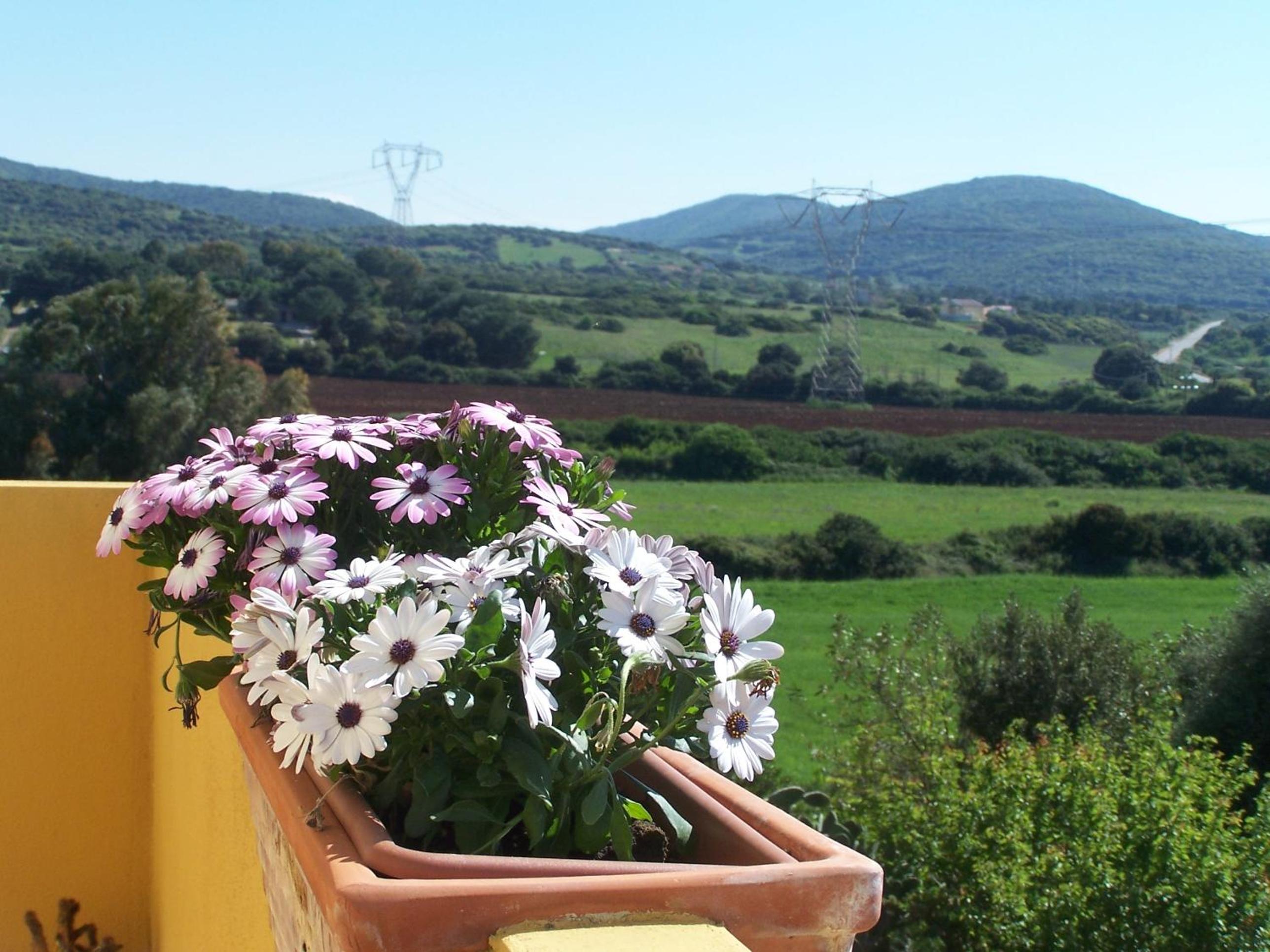 Agriturismo Cuile de Molino