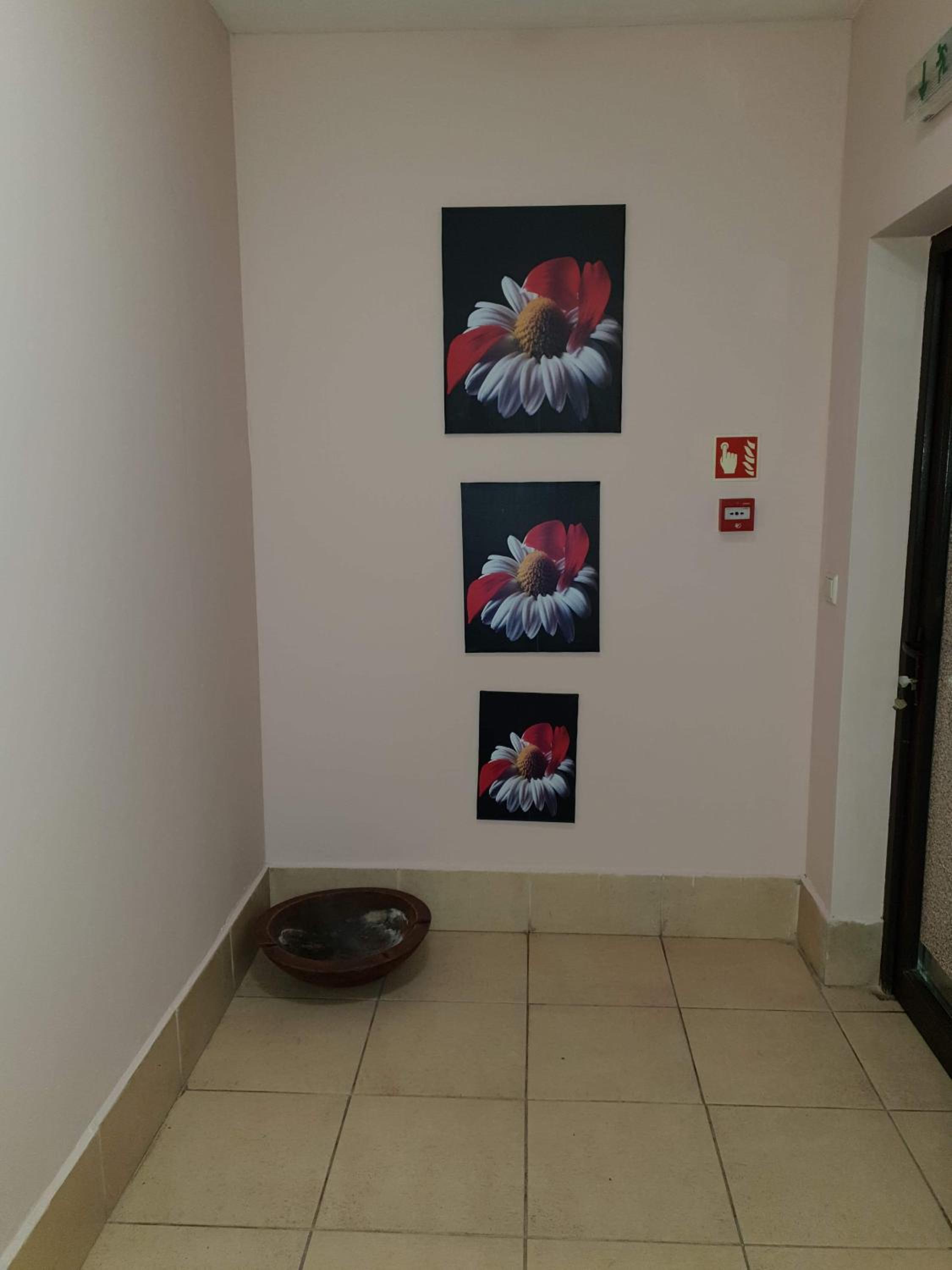 Dream Apart Hotel 207