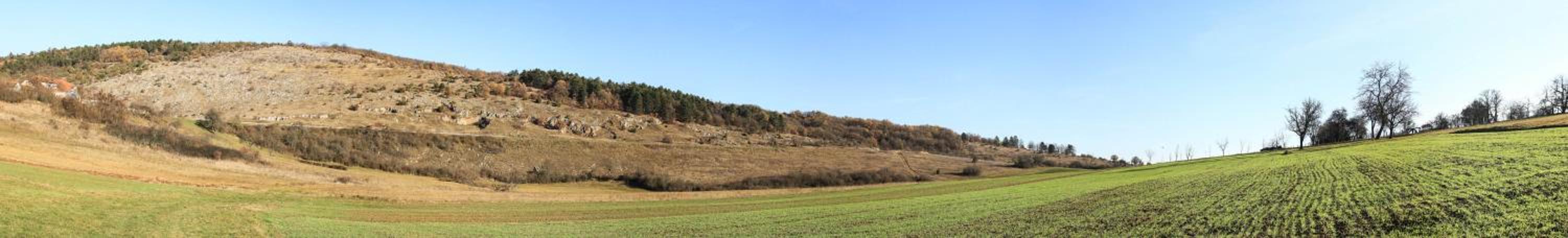 Photo 42