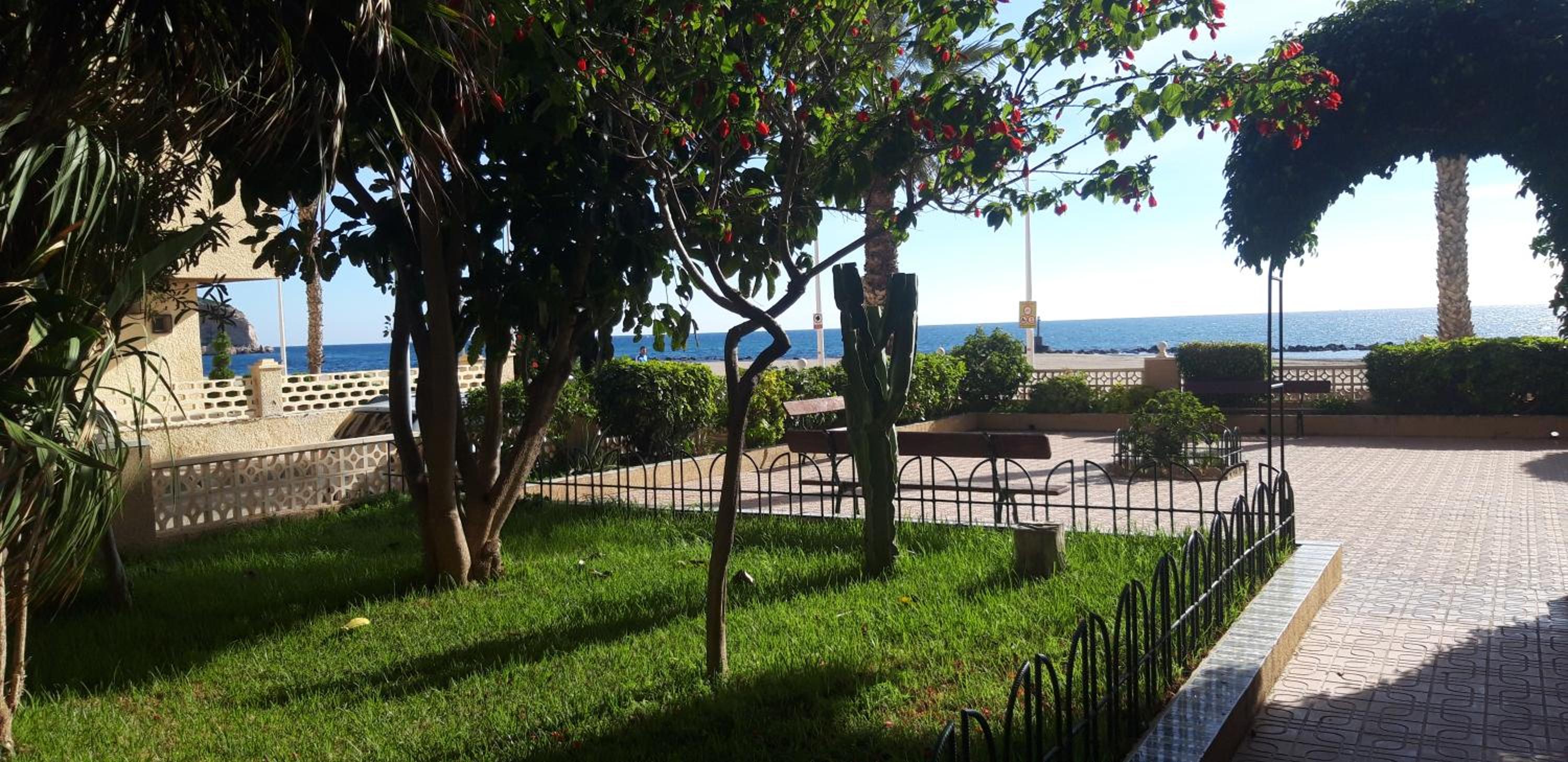 Apartamento Venecia view 4