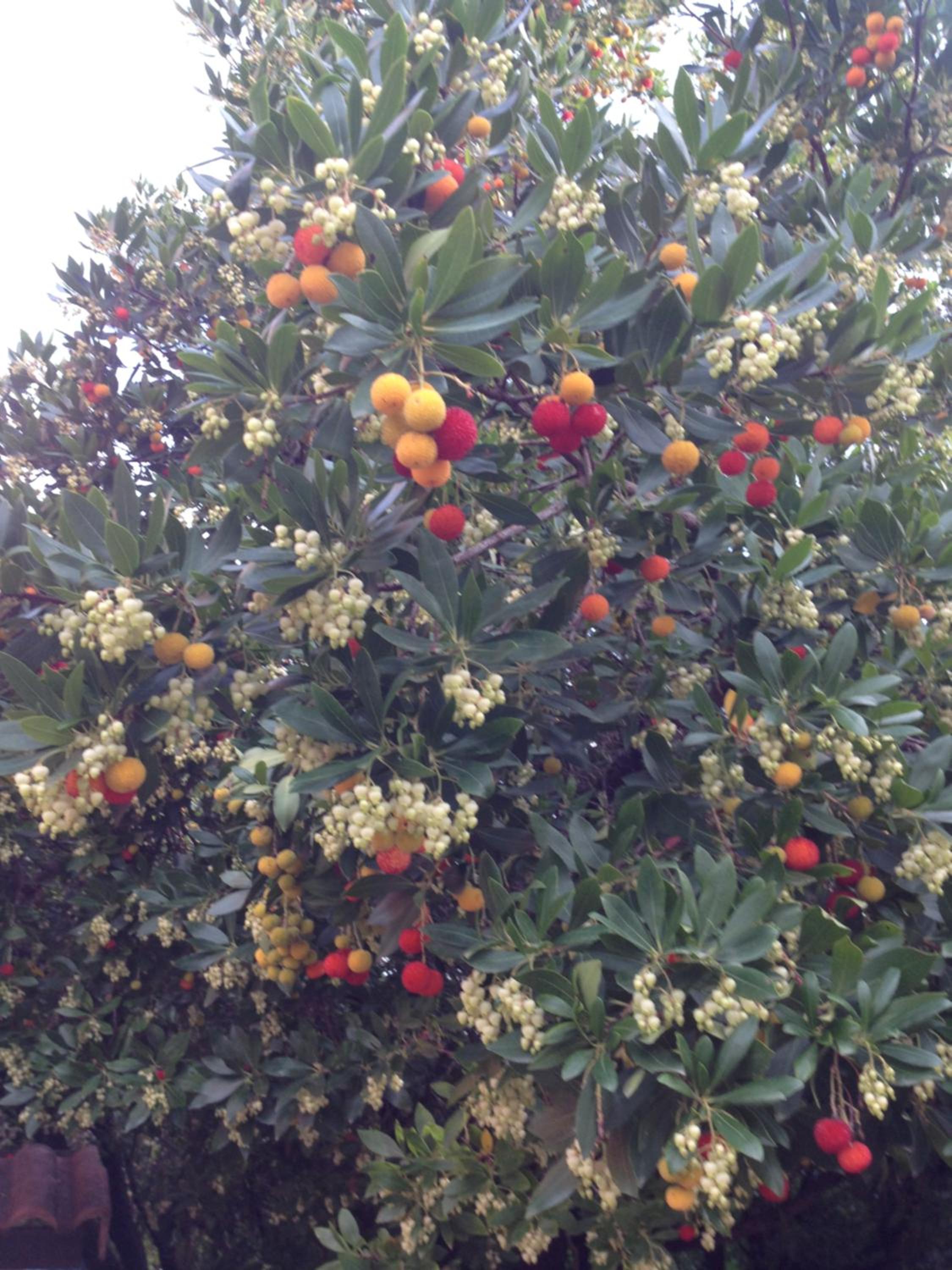 Photo 26