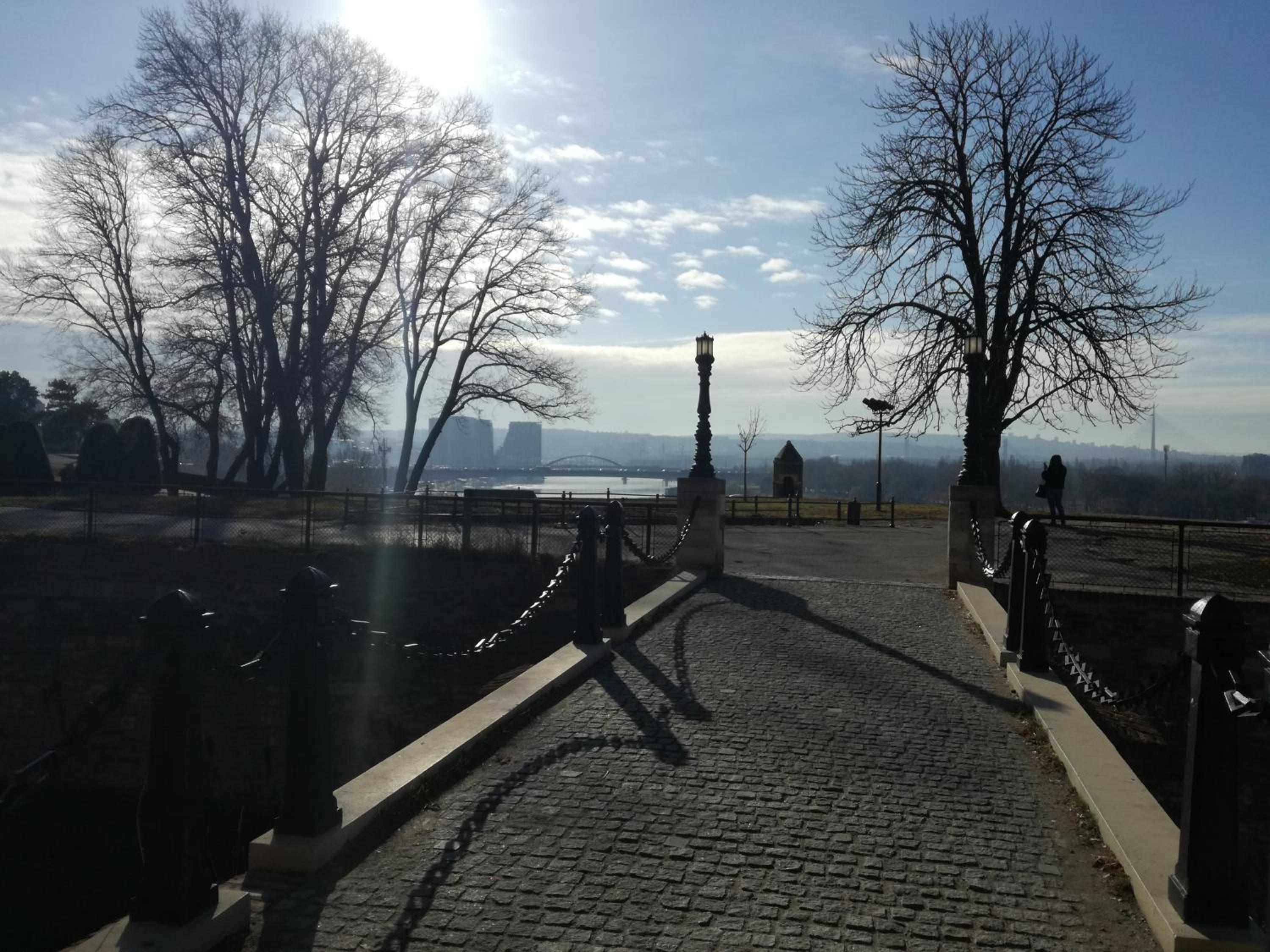 Photo 16