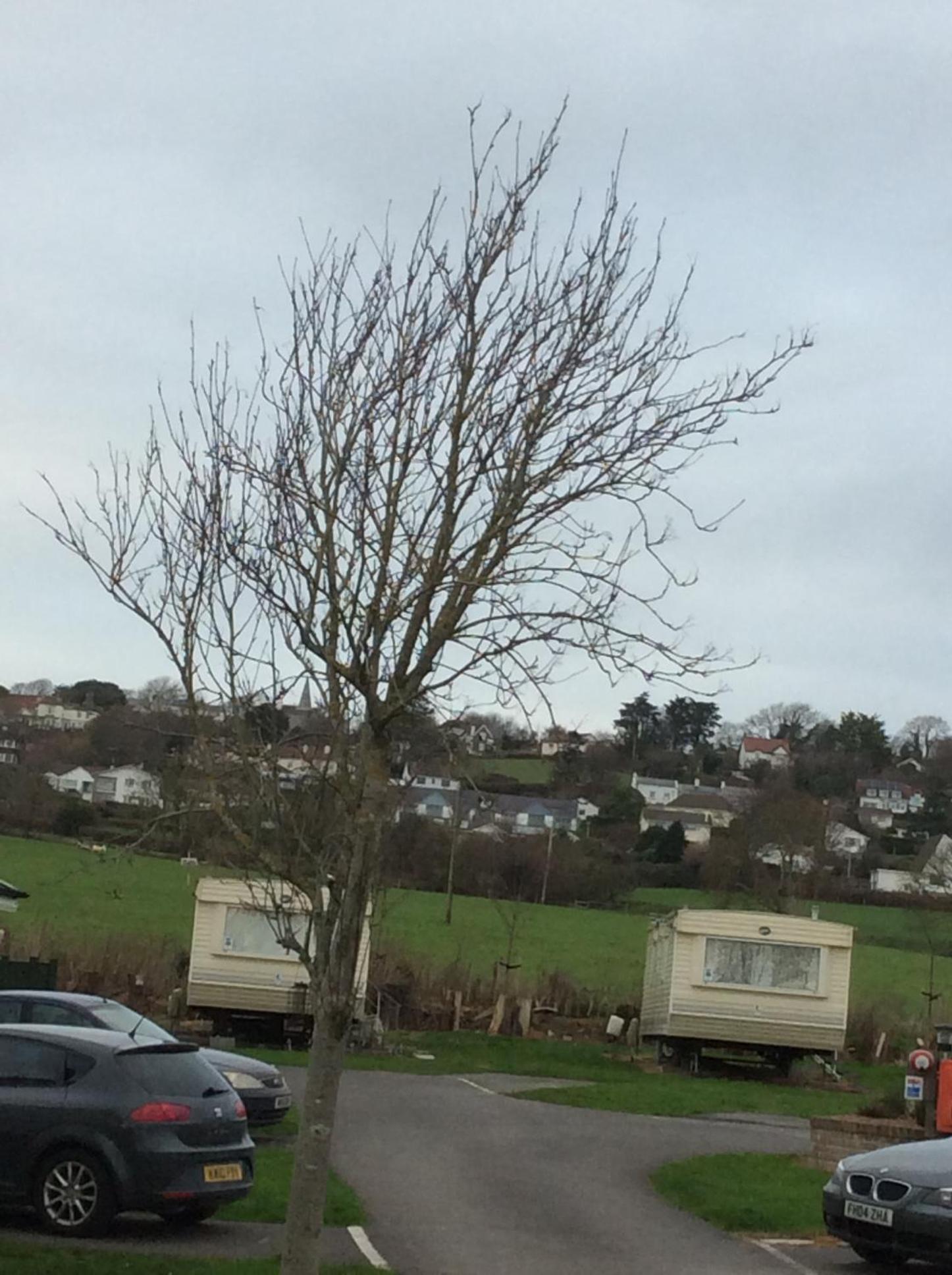 Tarka holiday park, 5A