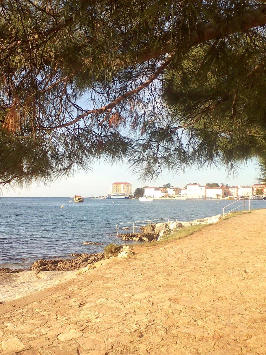 Photo 27