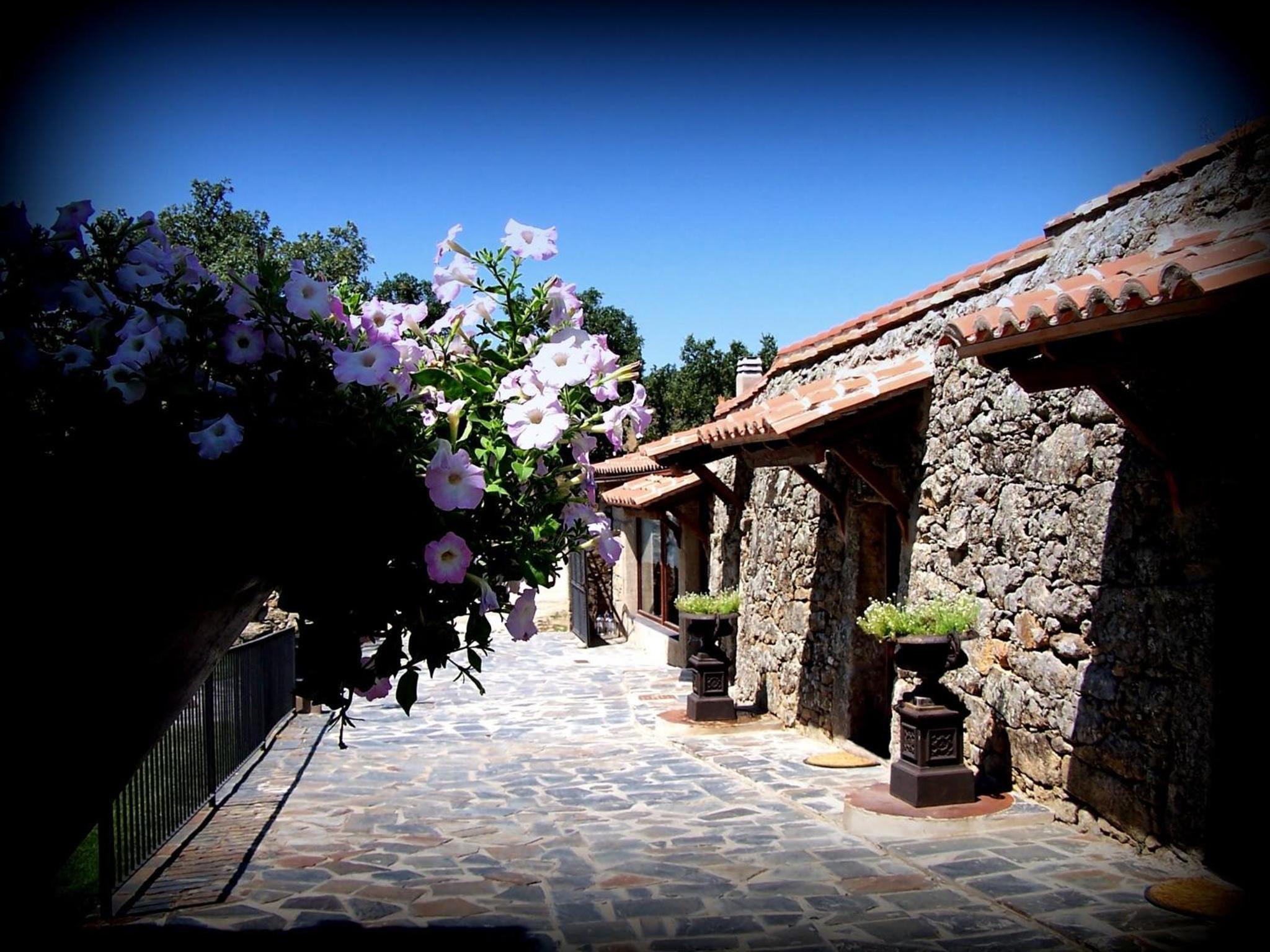 Almazara de San Pedro