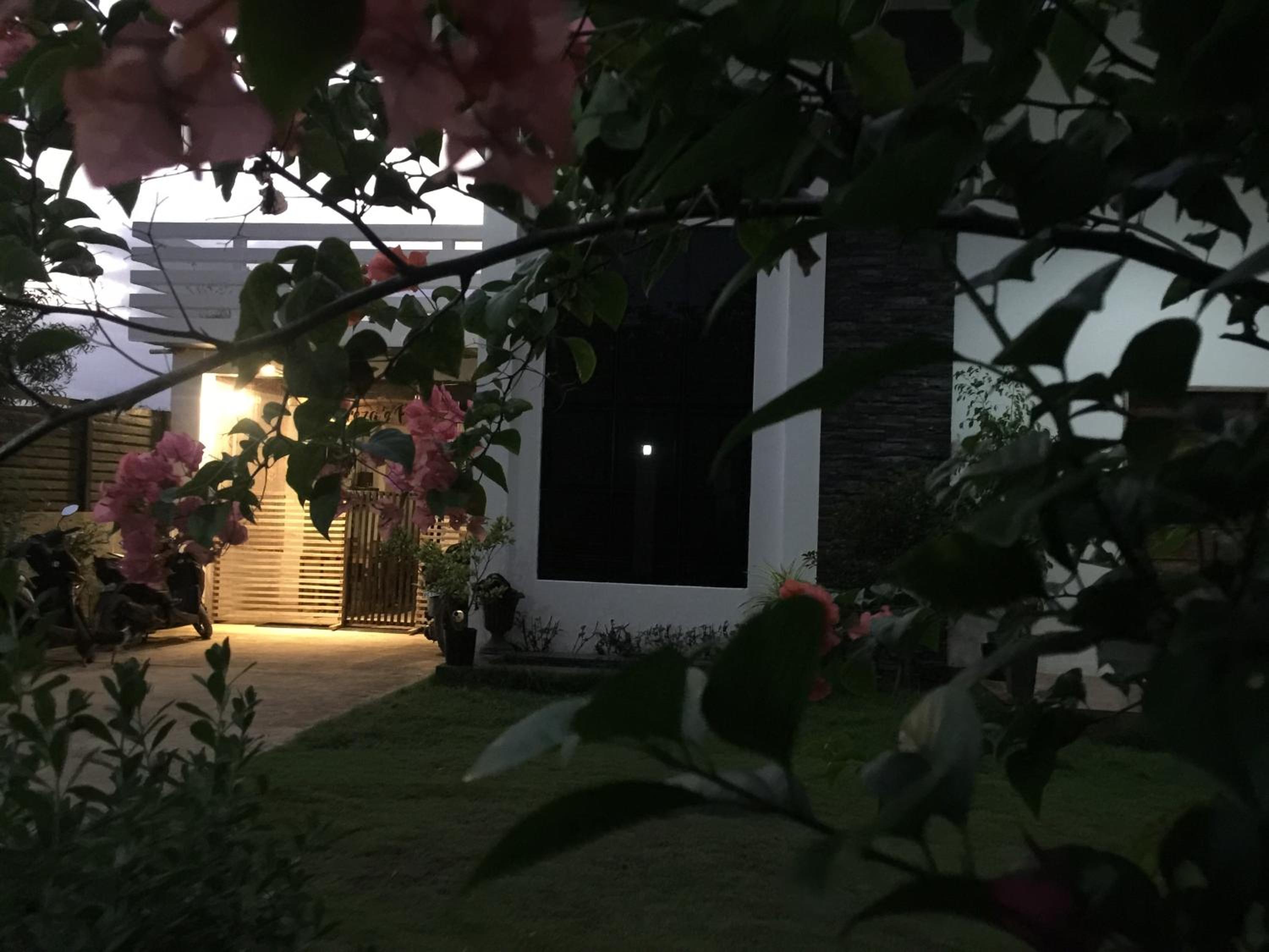 Terreza's Place