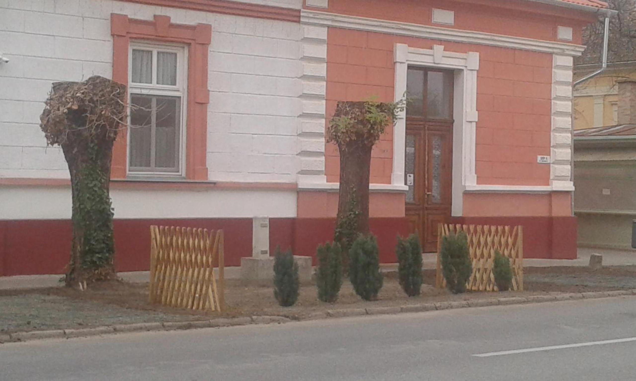 Photo 34