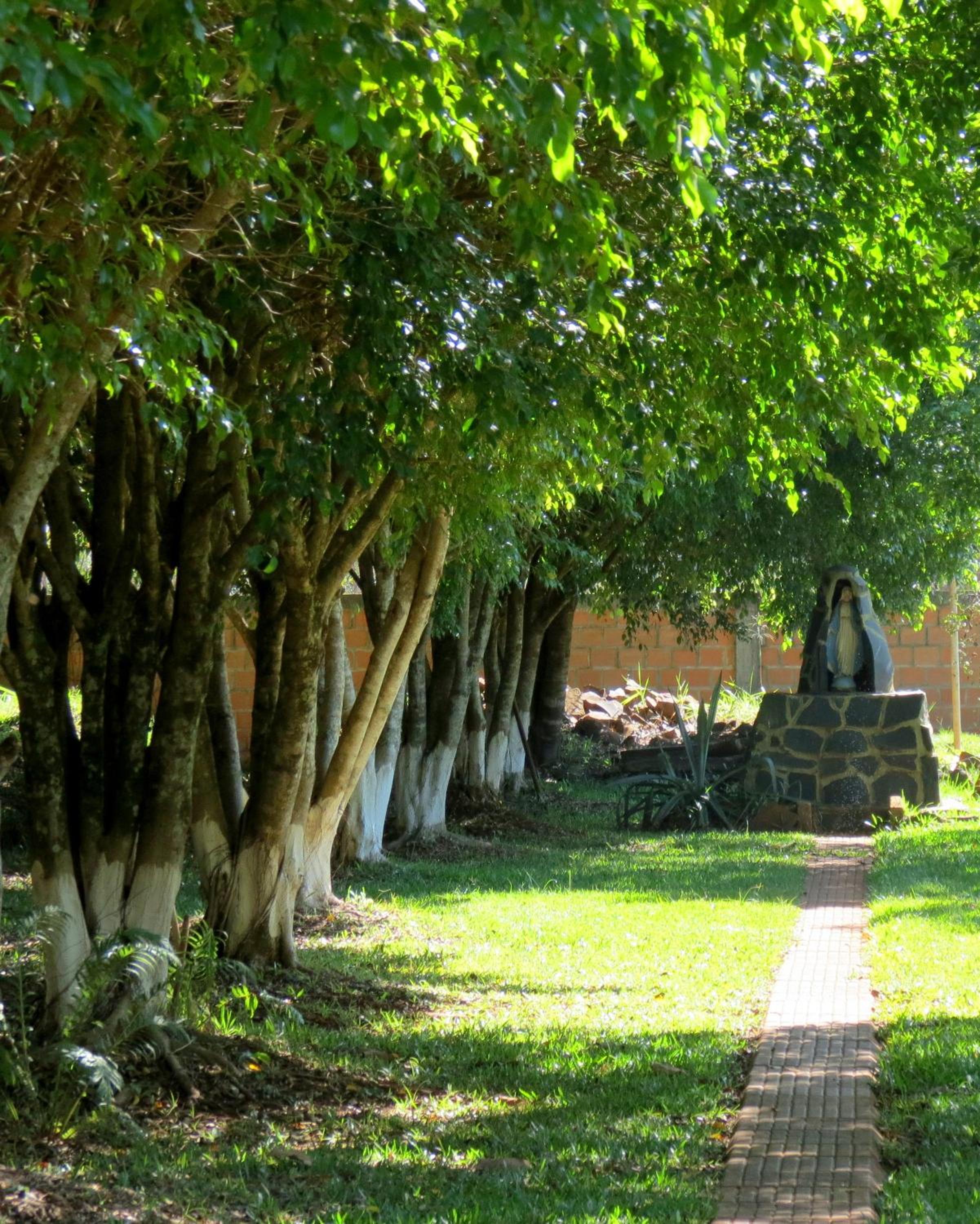 Cabañas El Refugio del Mensu