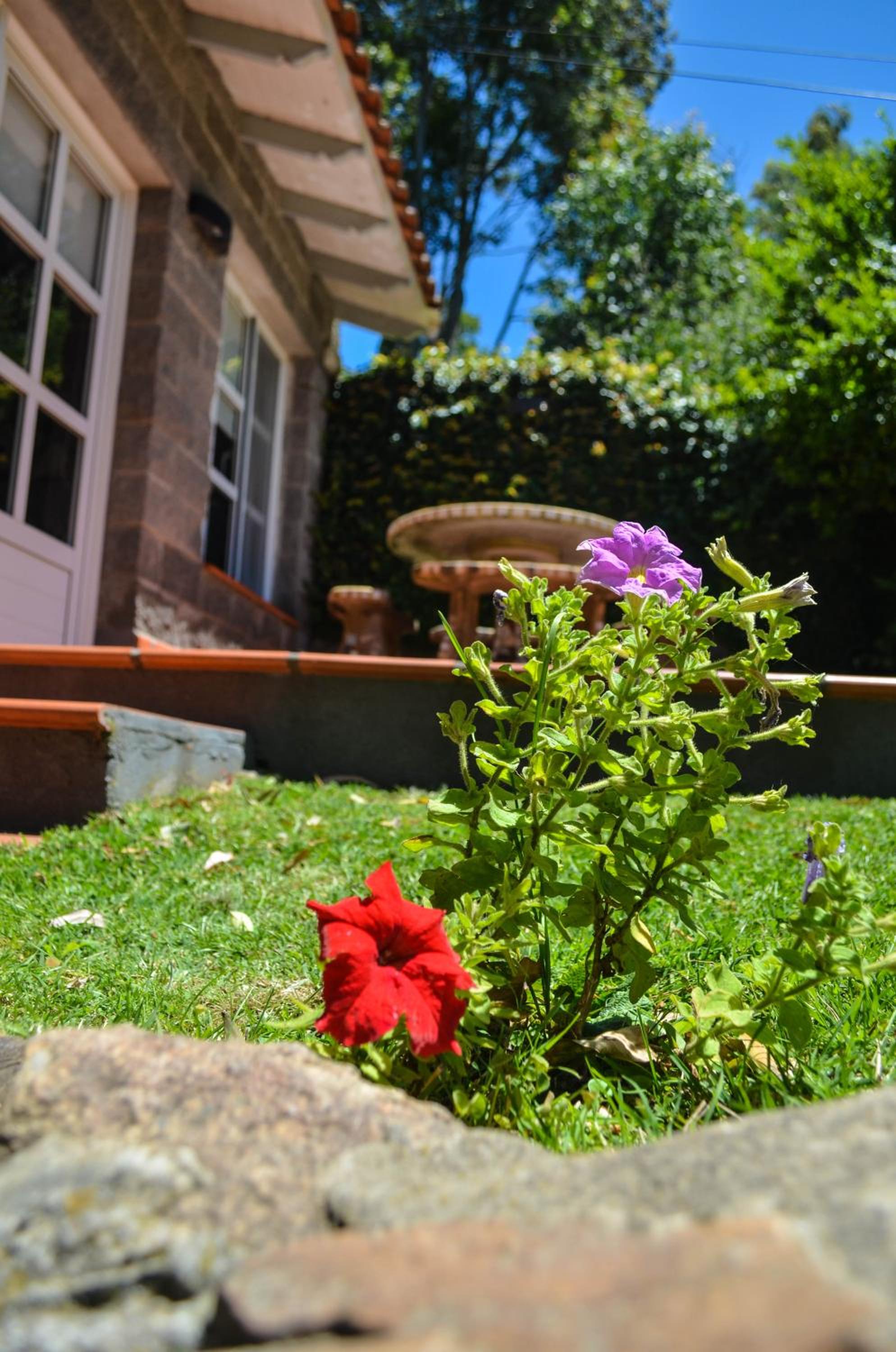 La Casa de Liber