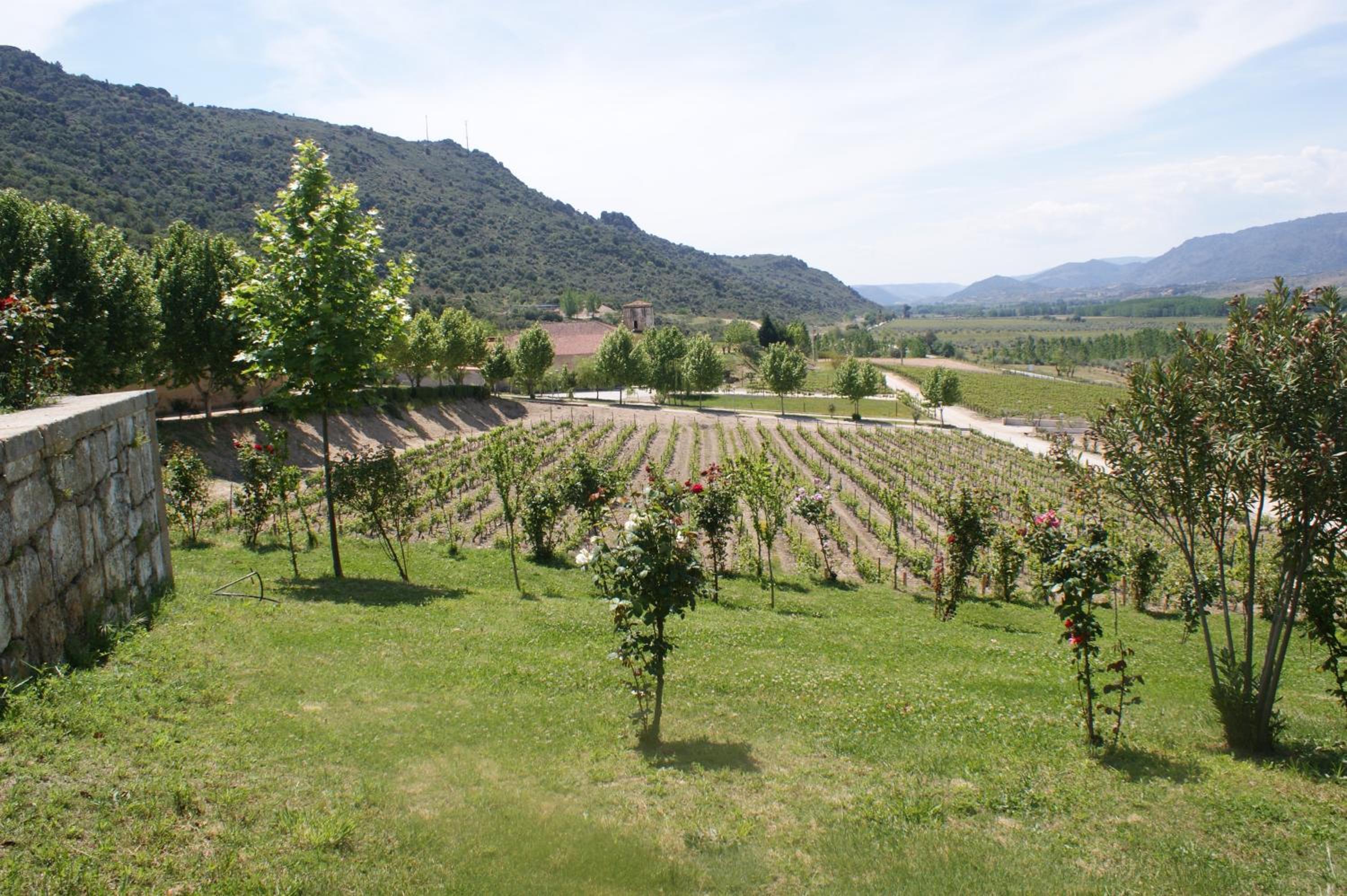 Quinta da Terrincha