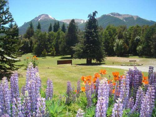 Unquehue Apartamentos Dormis
