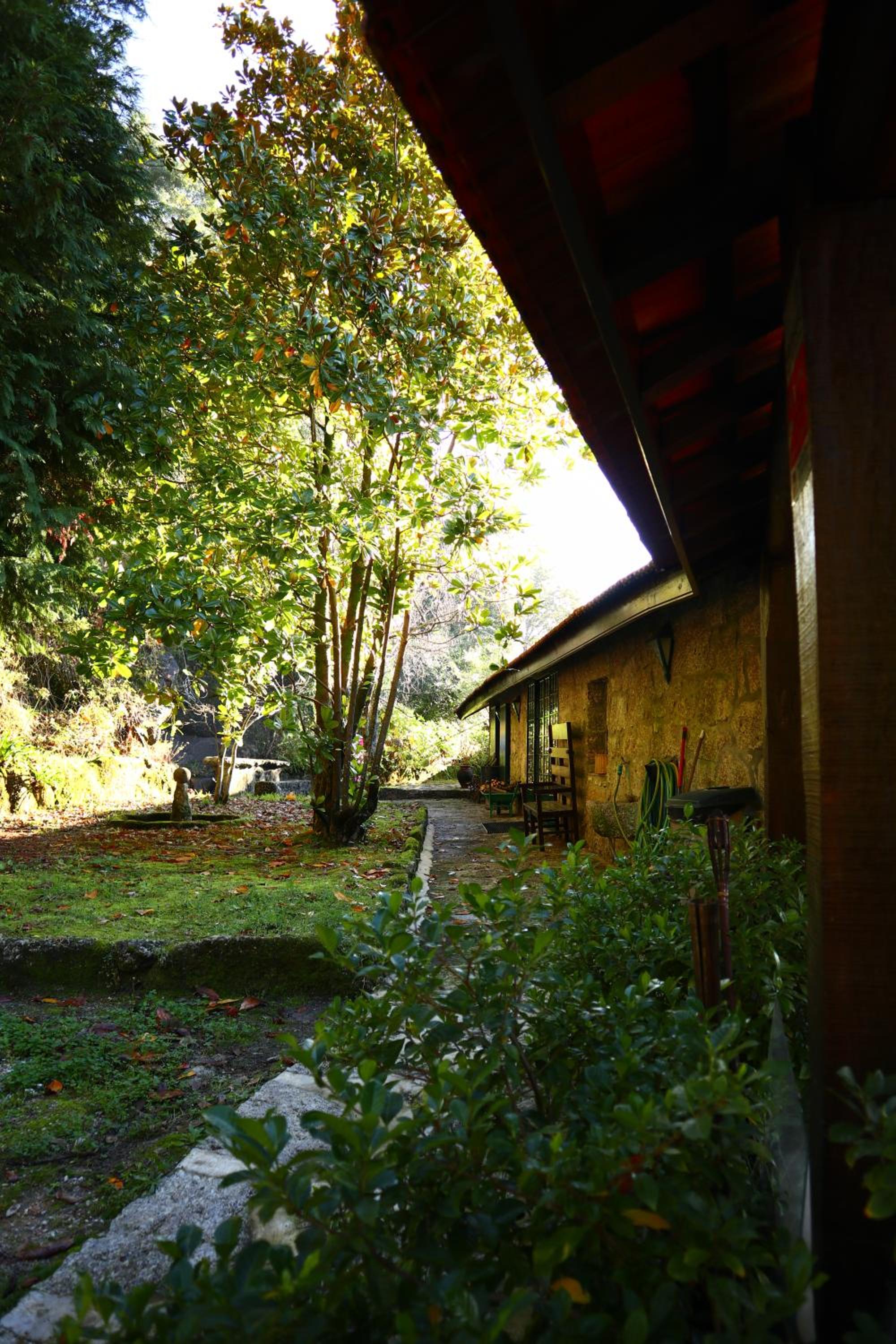 Photo 37