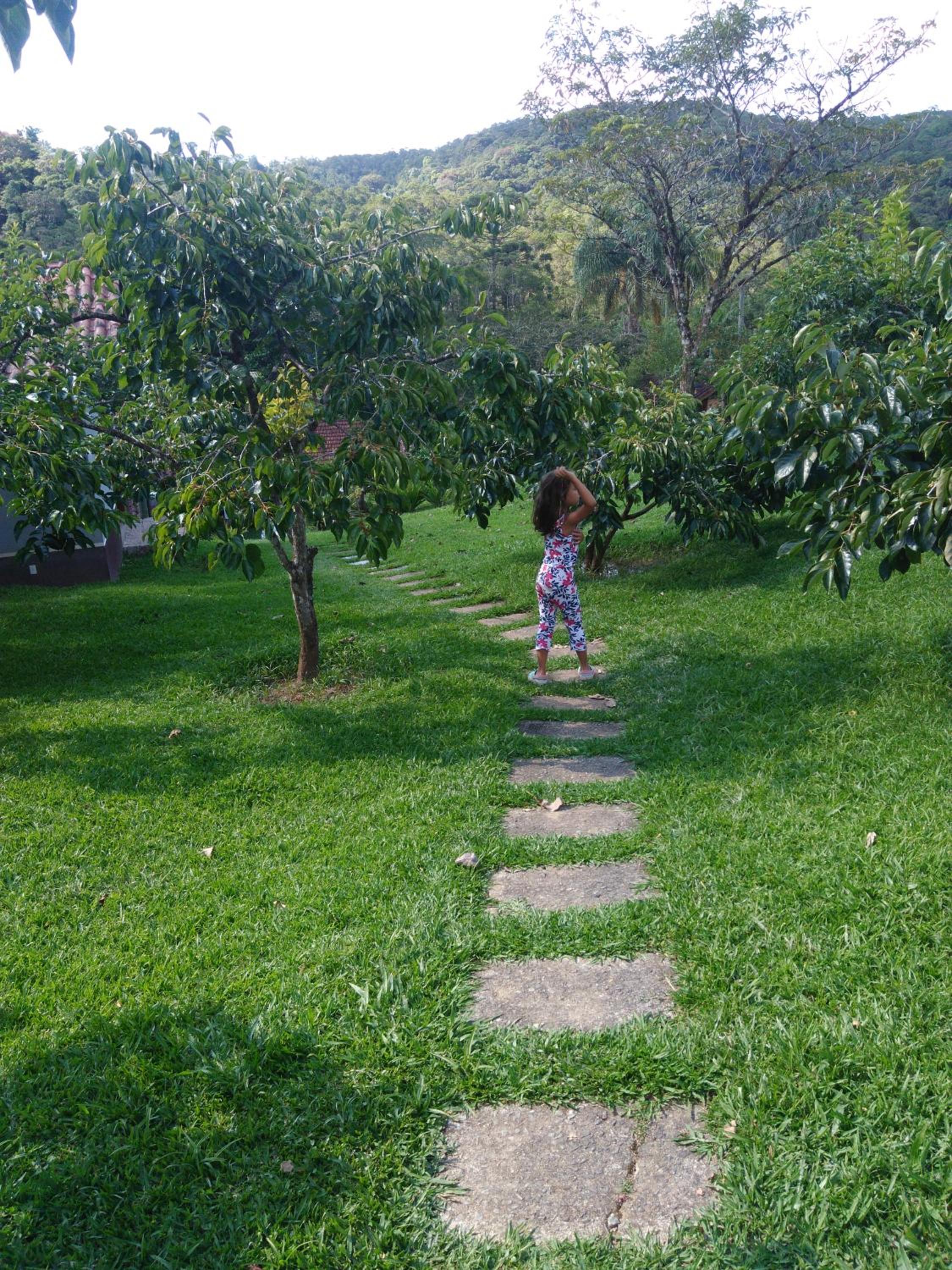 Pousada Recanto dos Pinheiros view 3