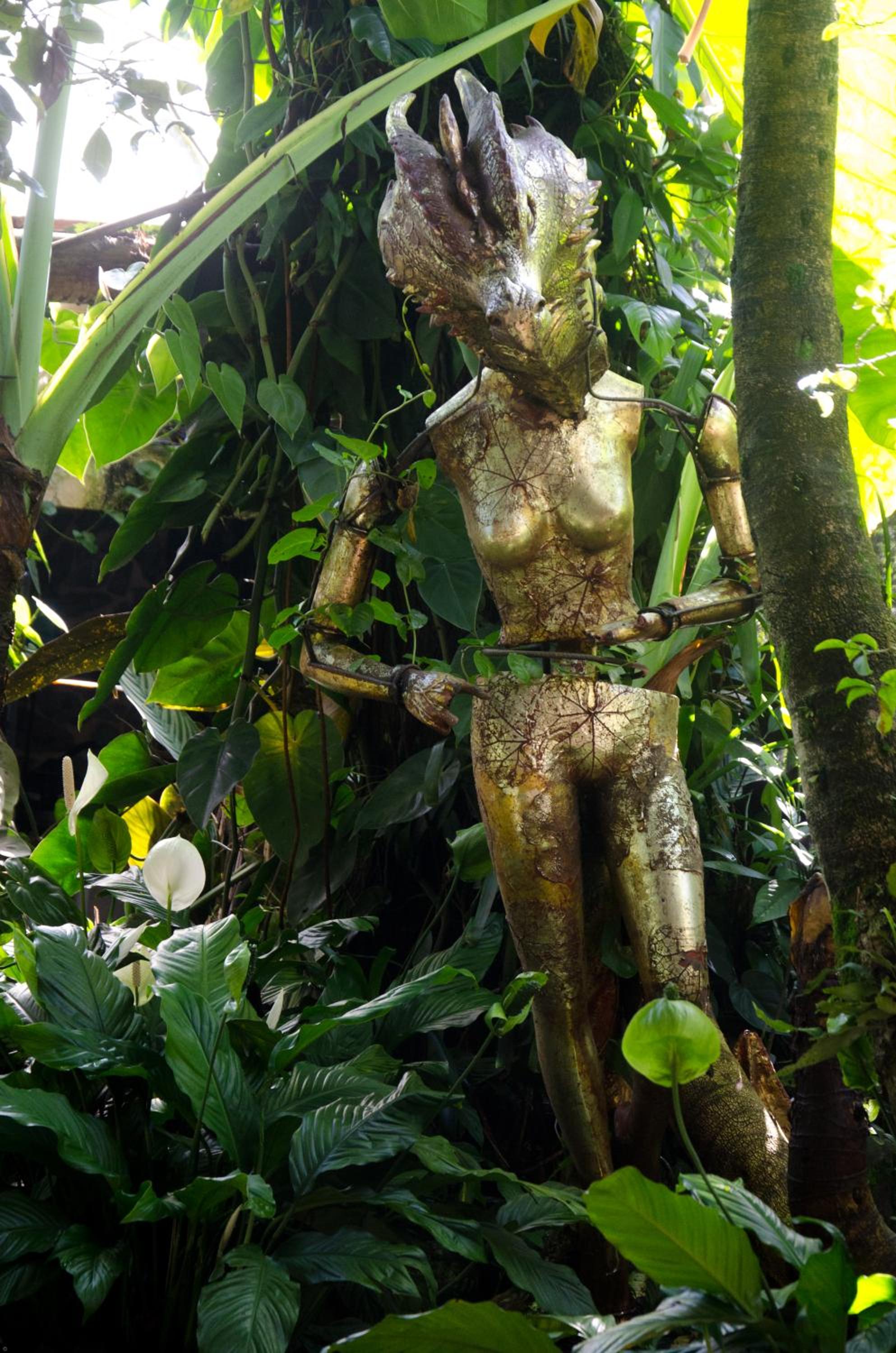 Photo 26