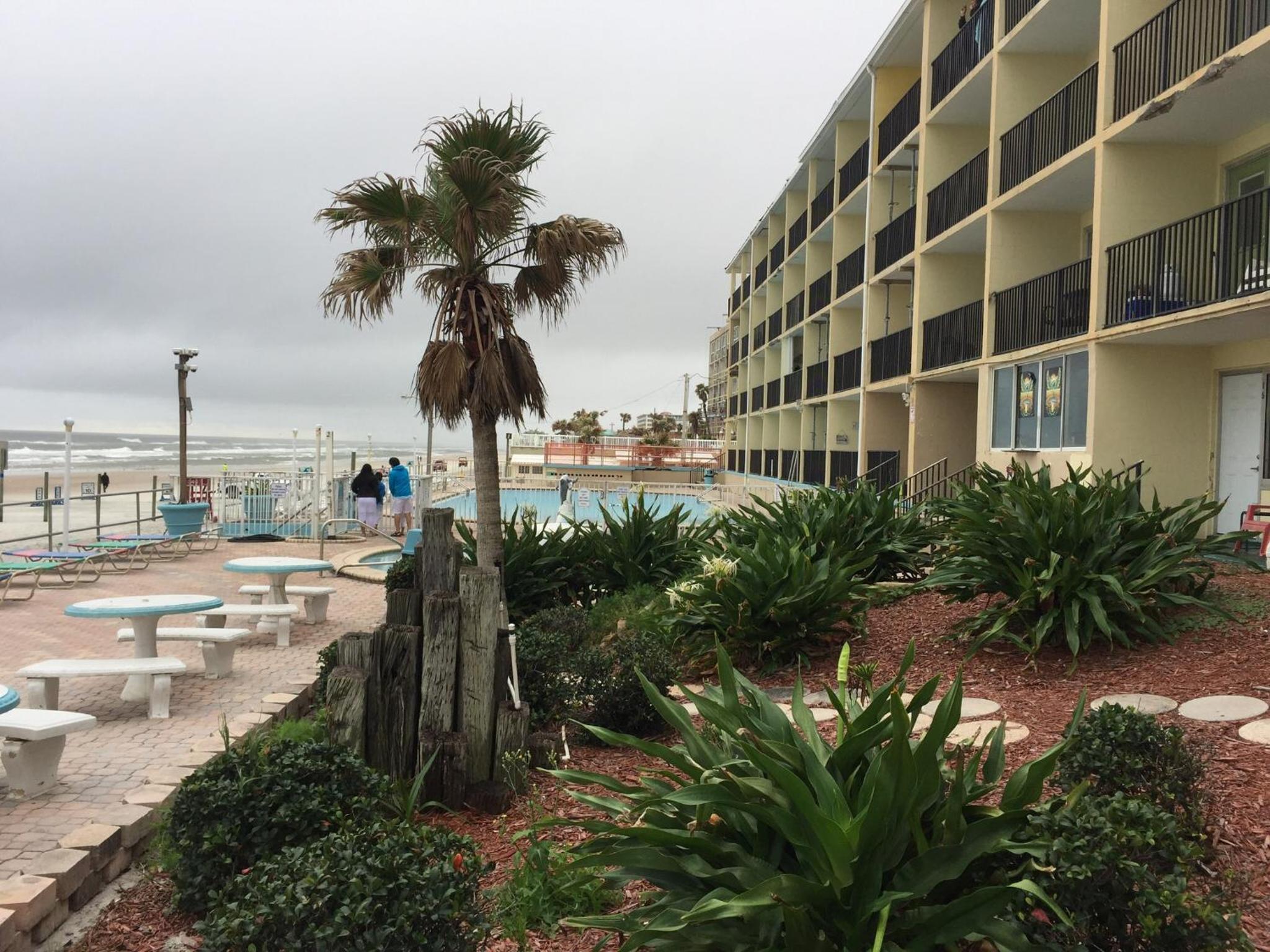 Ocean View - Direct Ocean Front-Pool Is Open