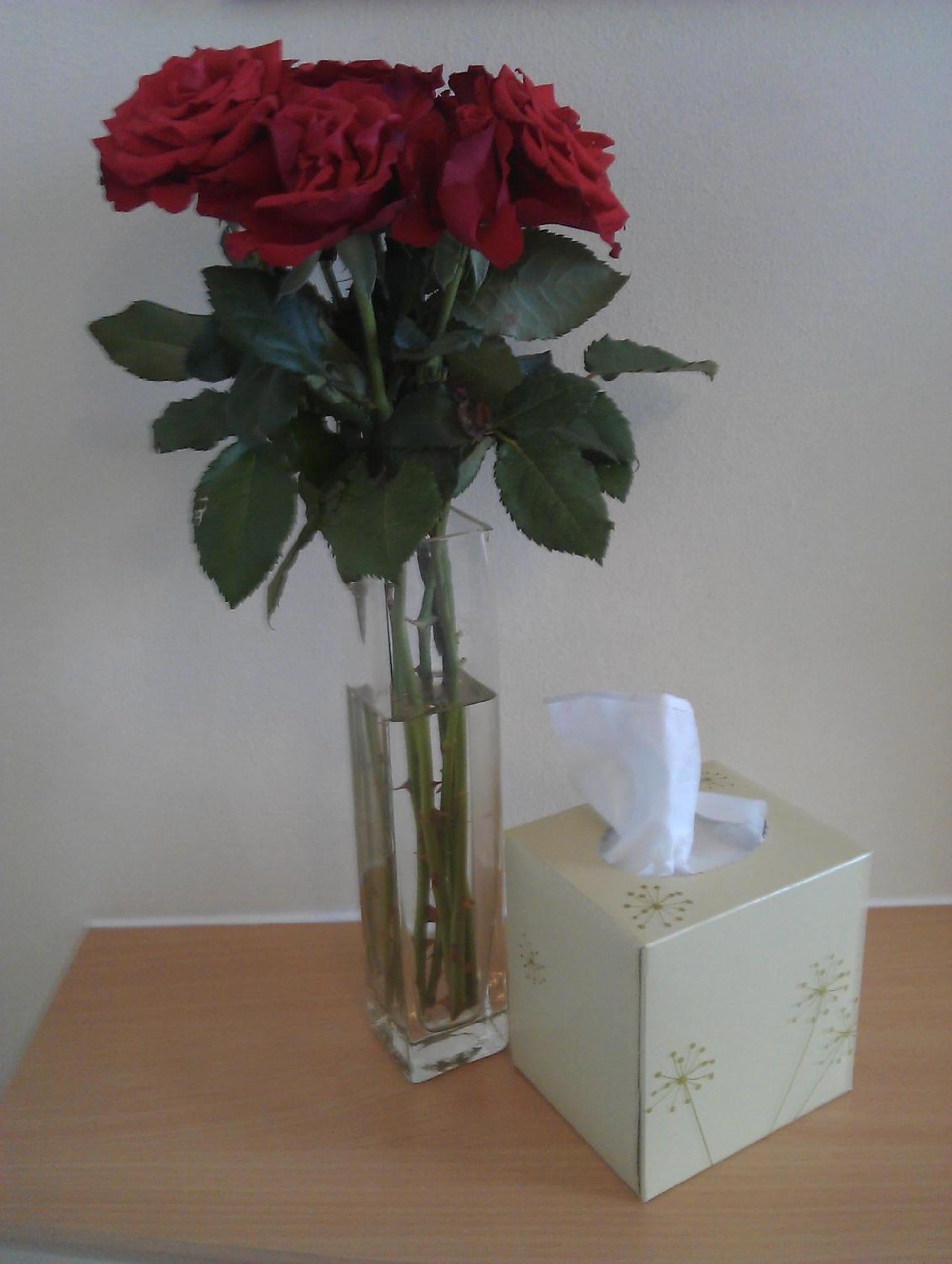 Photo 45