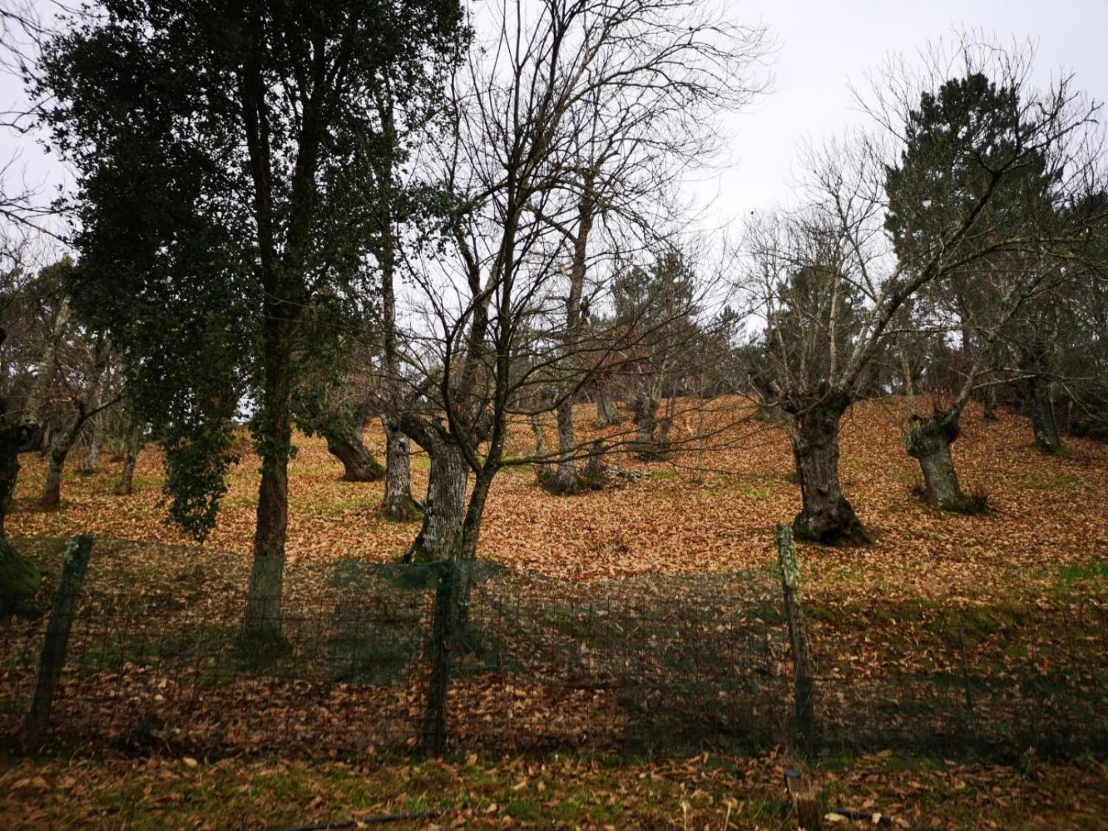 Valle Granado view 3