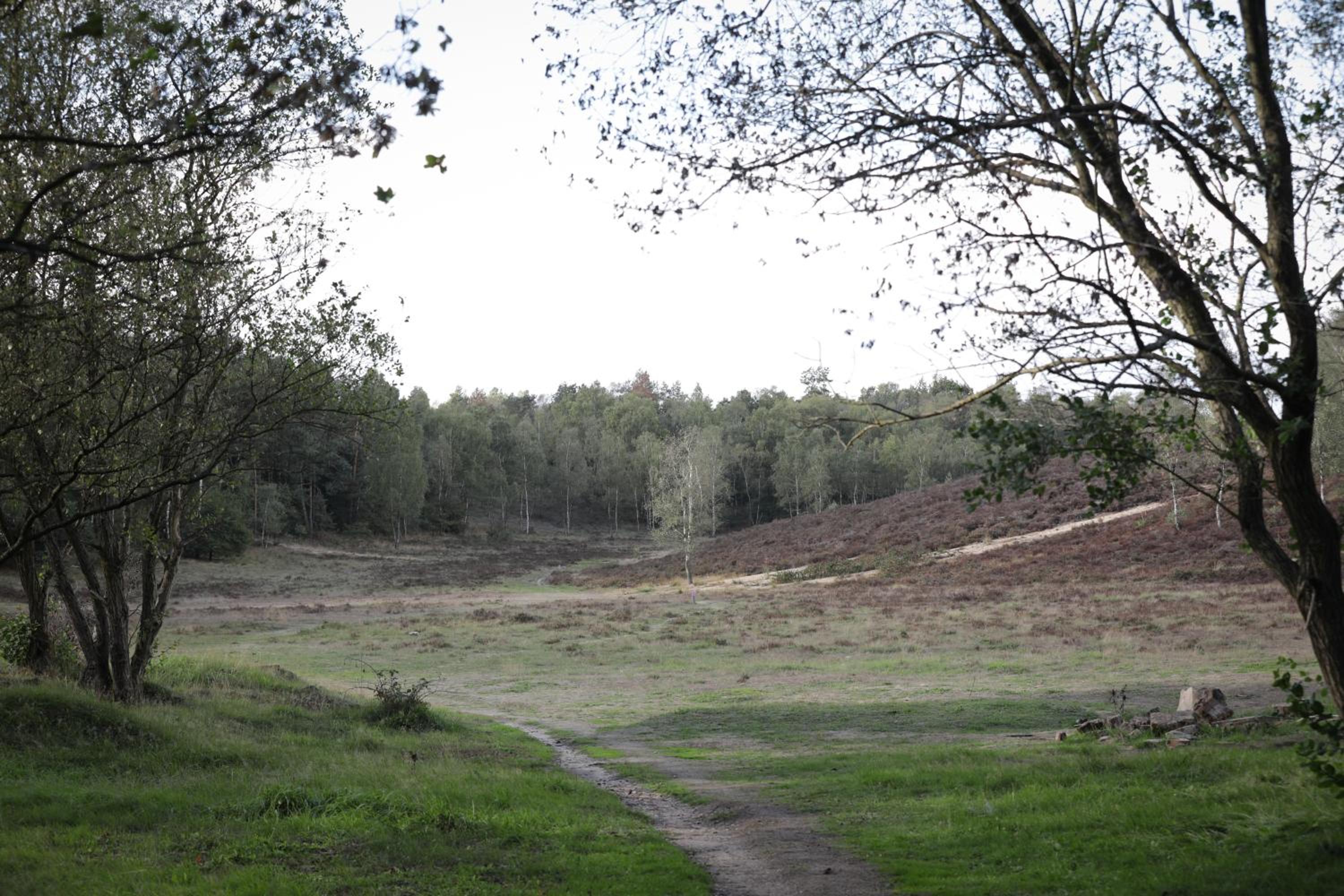 Photo 44
