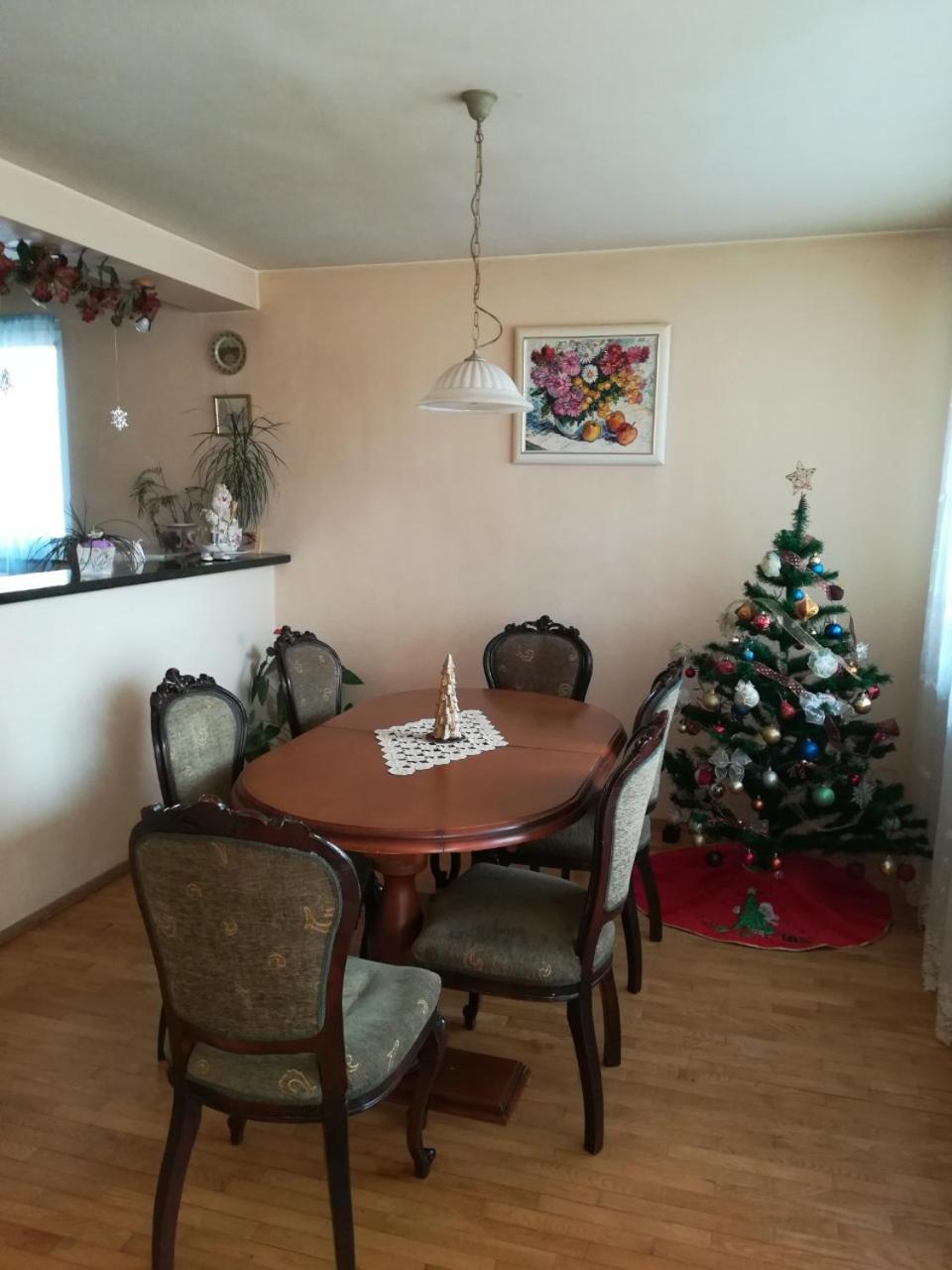 Cosy, quiet house with Vitosha view near Paradise