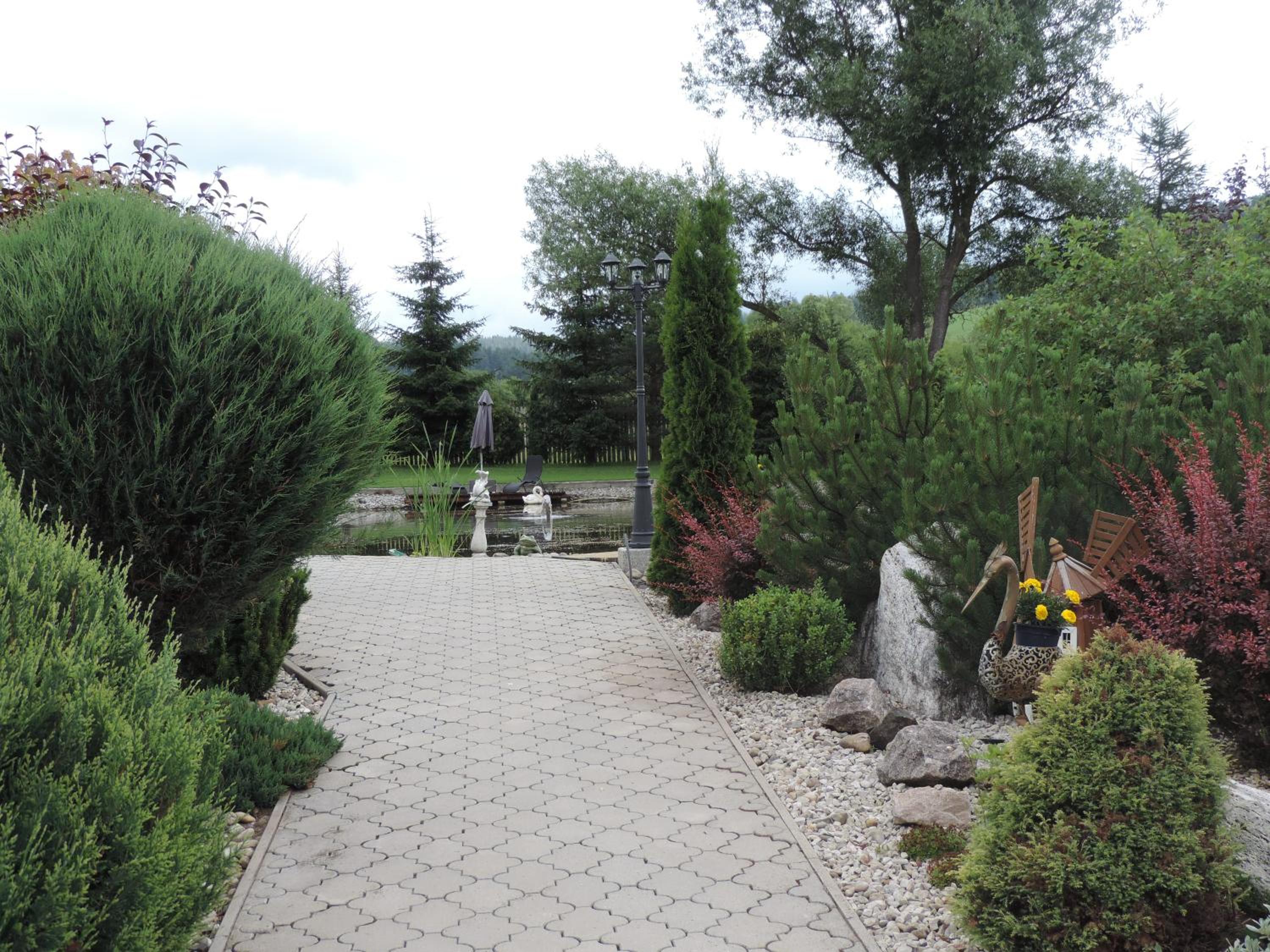 Photo 24
