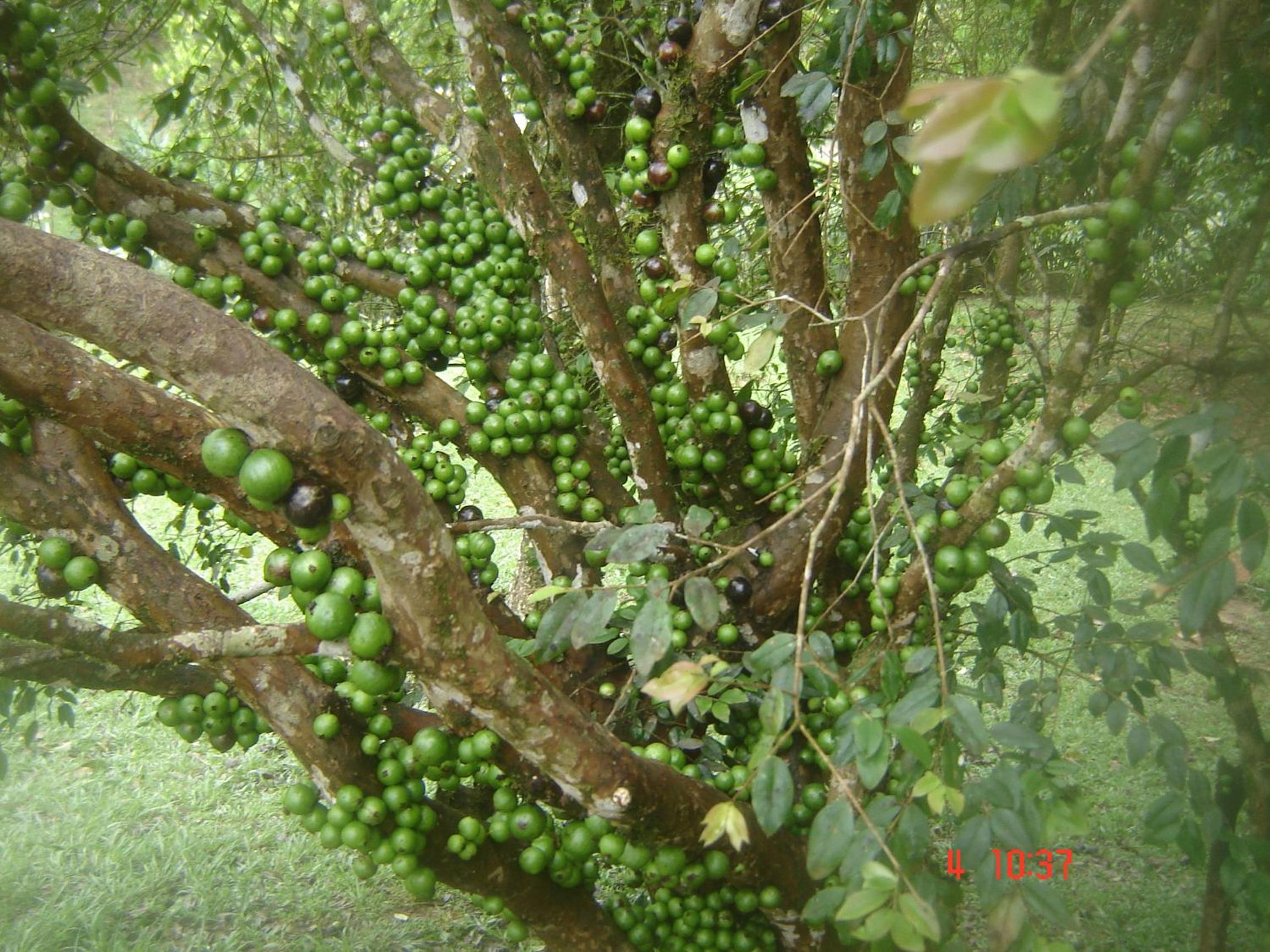 Photo 46