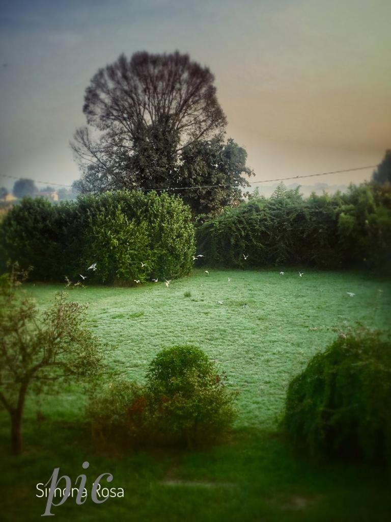Photo 47