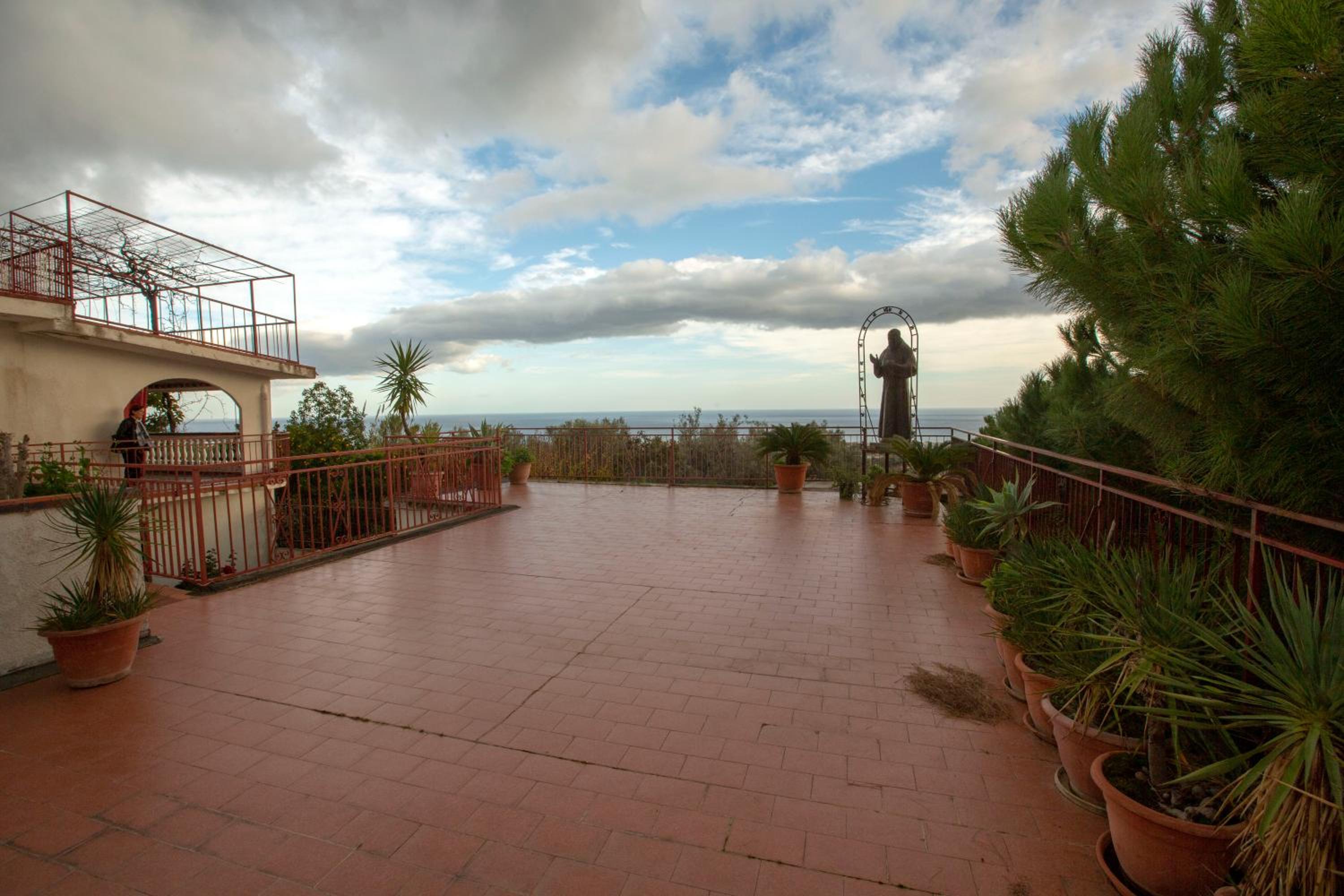 Rosa di Calabria