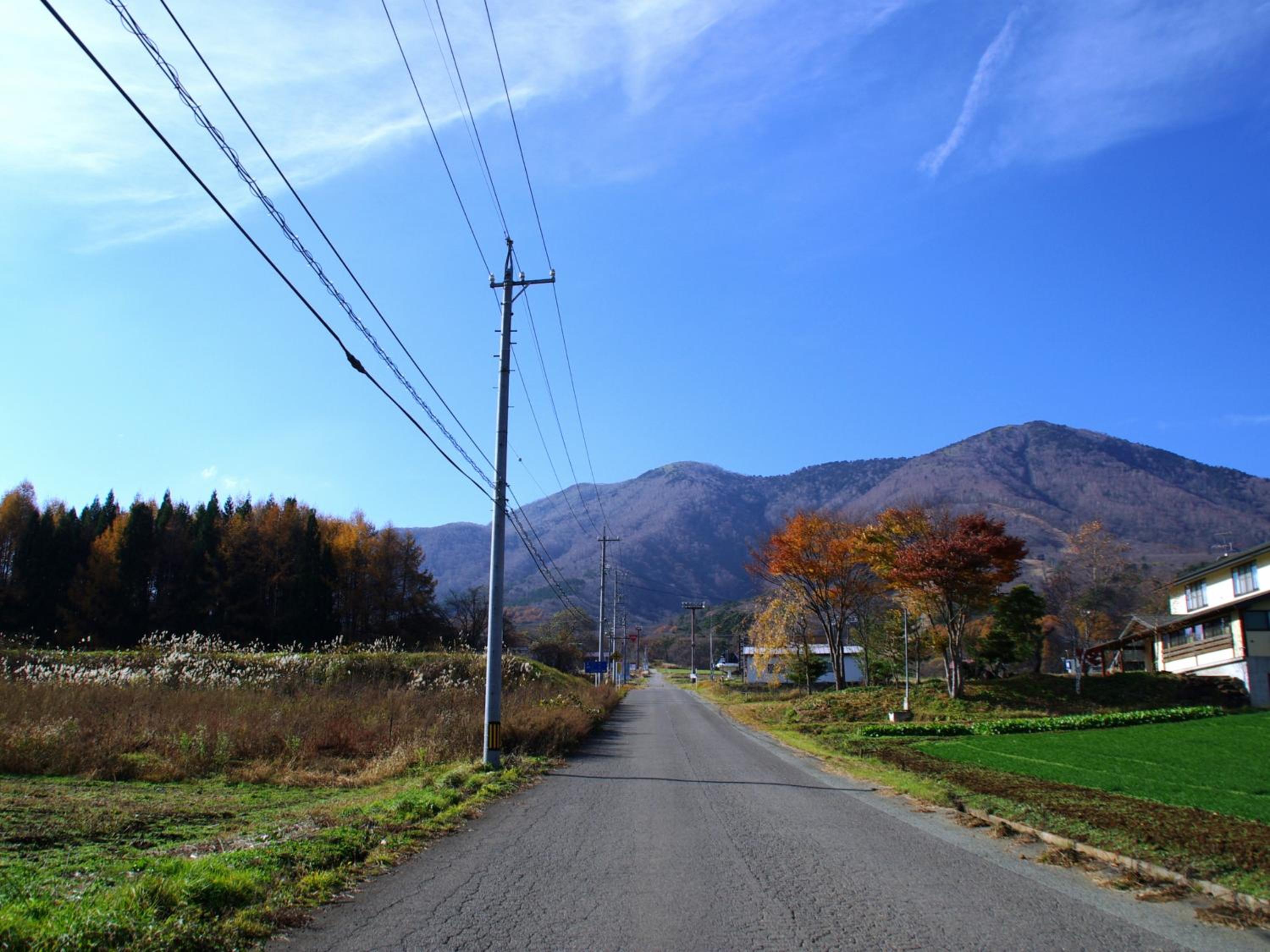 Photo 37
