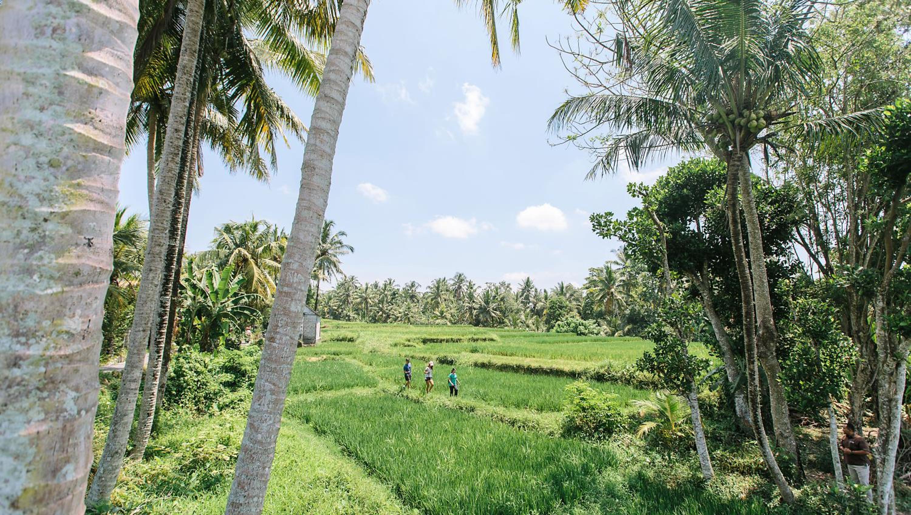 Tejaprana Resort & Spa